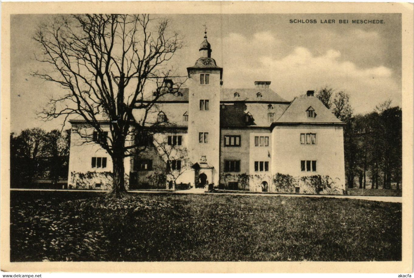 CPA AK Meschede - Schloss Laer bei Meschede GERMANY (857945)