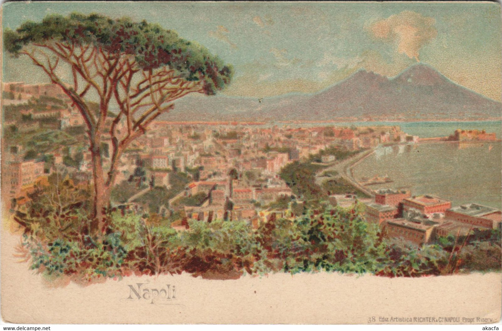 CPA AK NAPOLI Panorama CAMPANIA ITALY (14781)