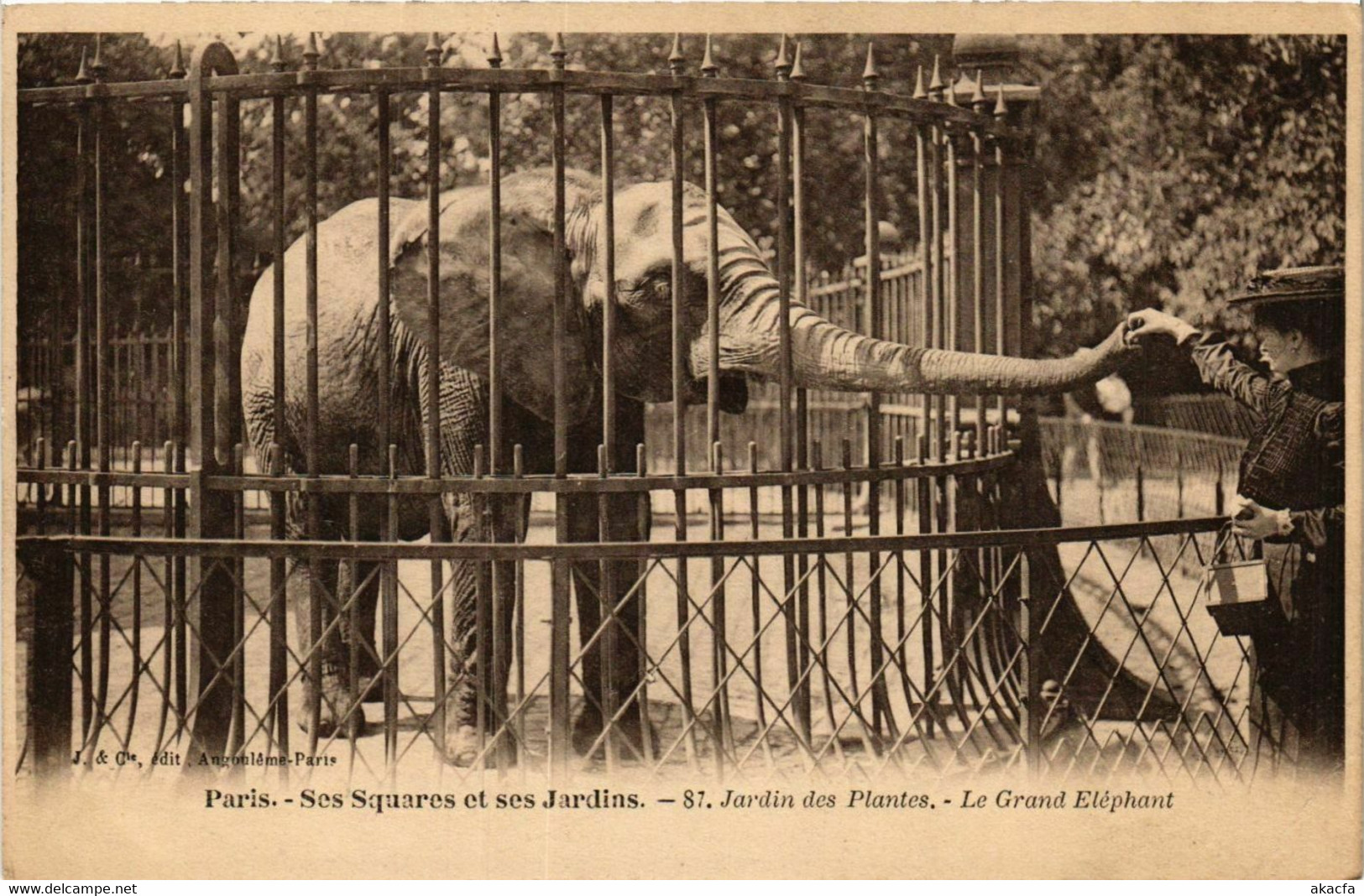 CPA AK PARIS Ses Squares et ses Jardins. 87. Jardin des Plantes (577590)