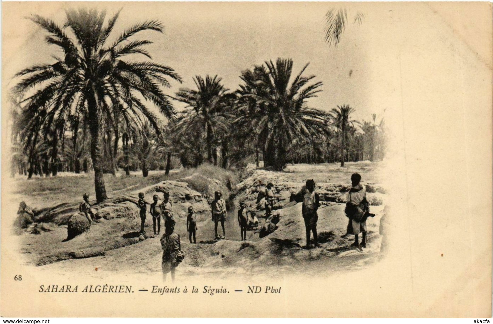 CPA AK Sahara- Enfants a la Seguia ALGERIE (832314)