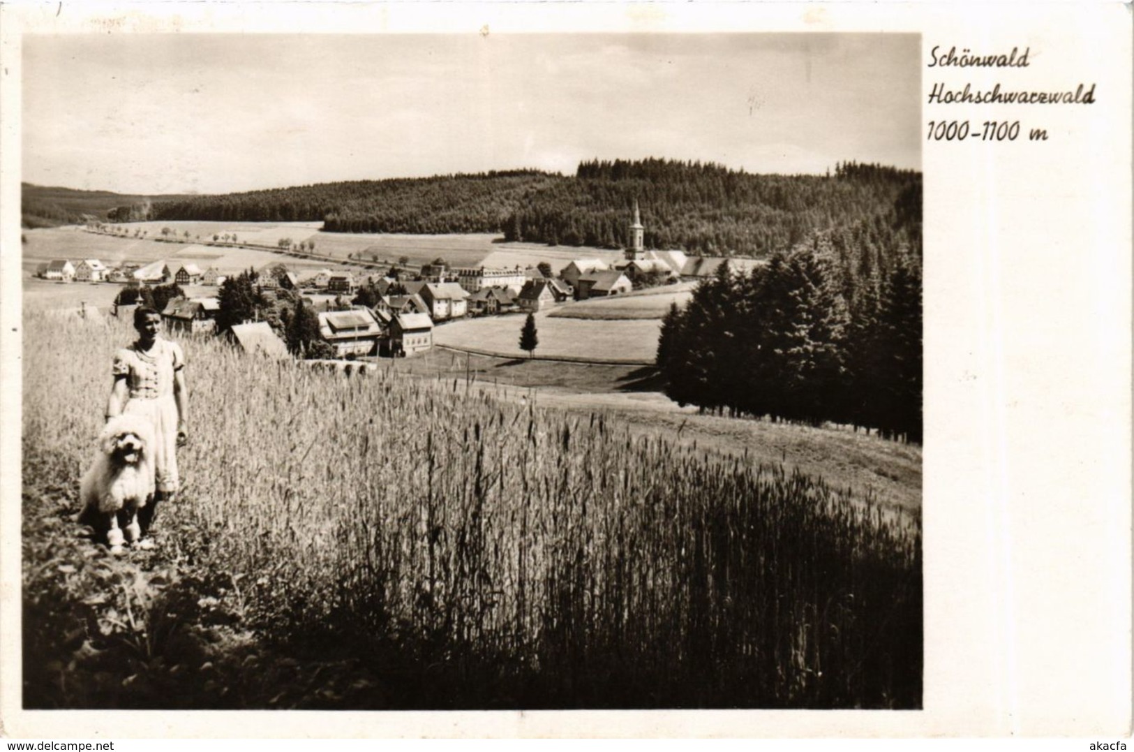 CPA AK Schonwald Hochschwarzwald GERMANY (935138)