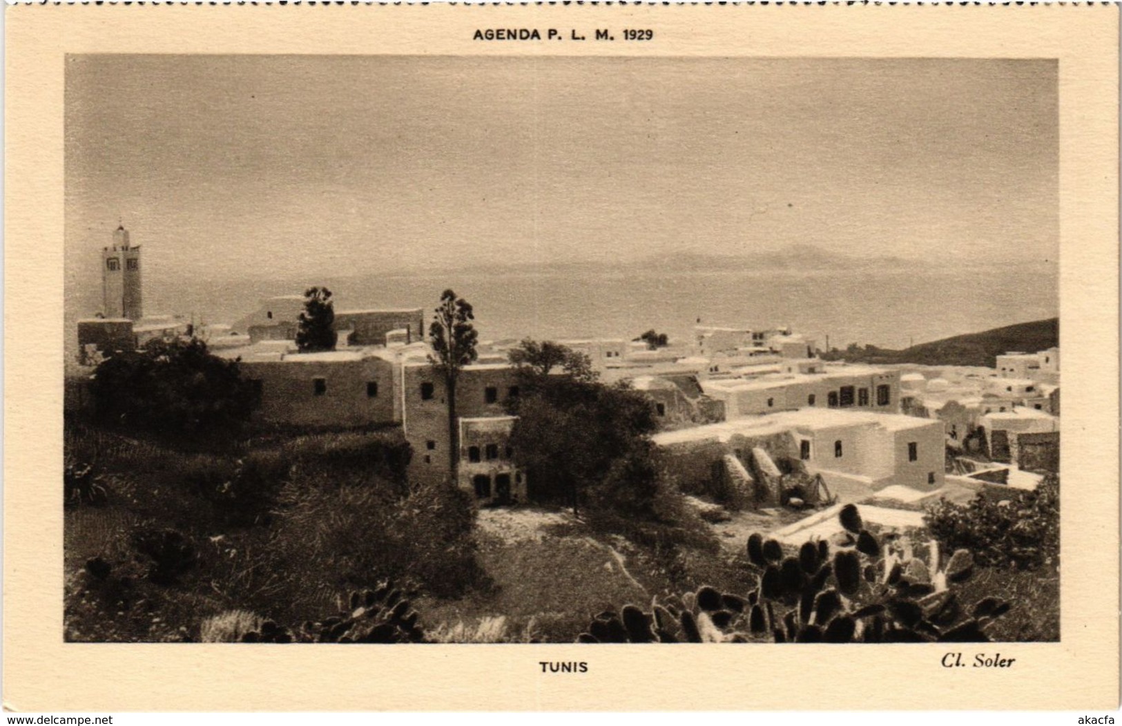 CPA AK TUNIS TUNISIA (974113)