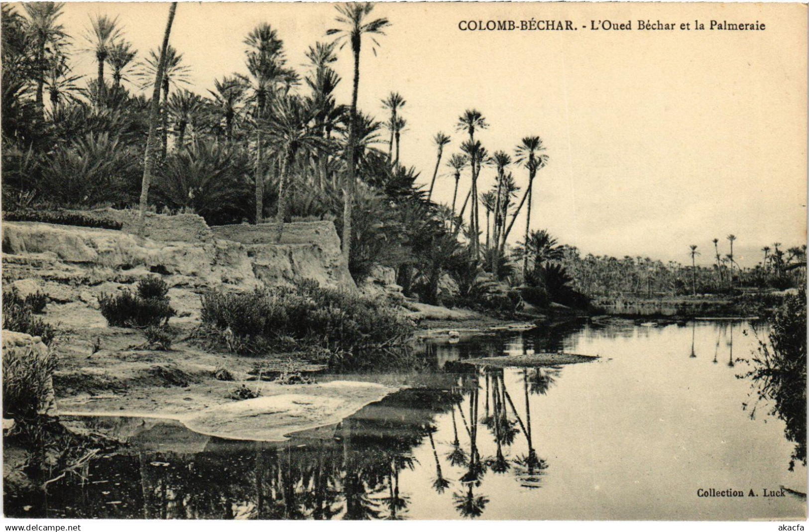 CPA ALGERIA COLOMB-BECHAR L'Oued Bechar et la Palmeraie (1357948)