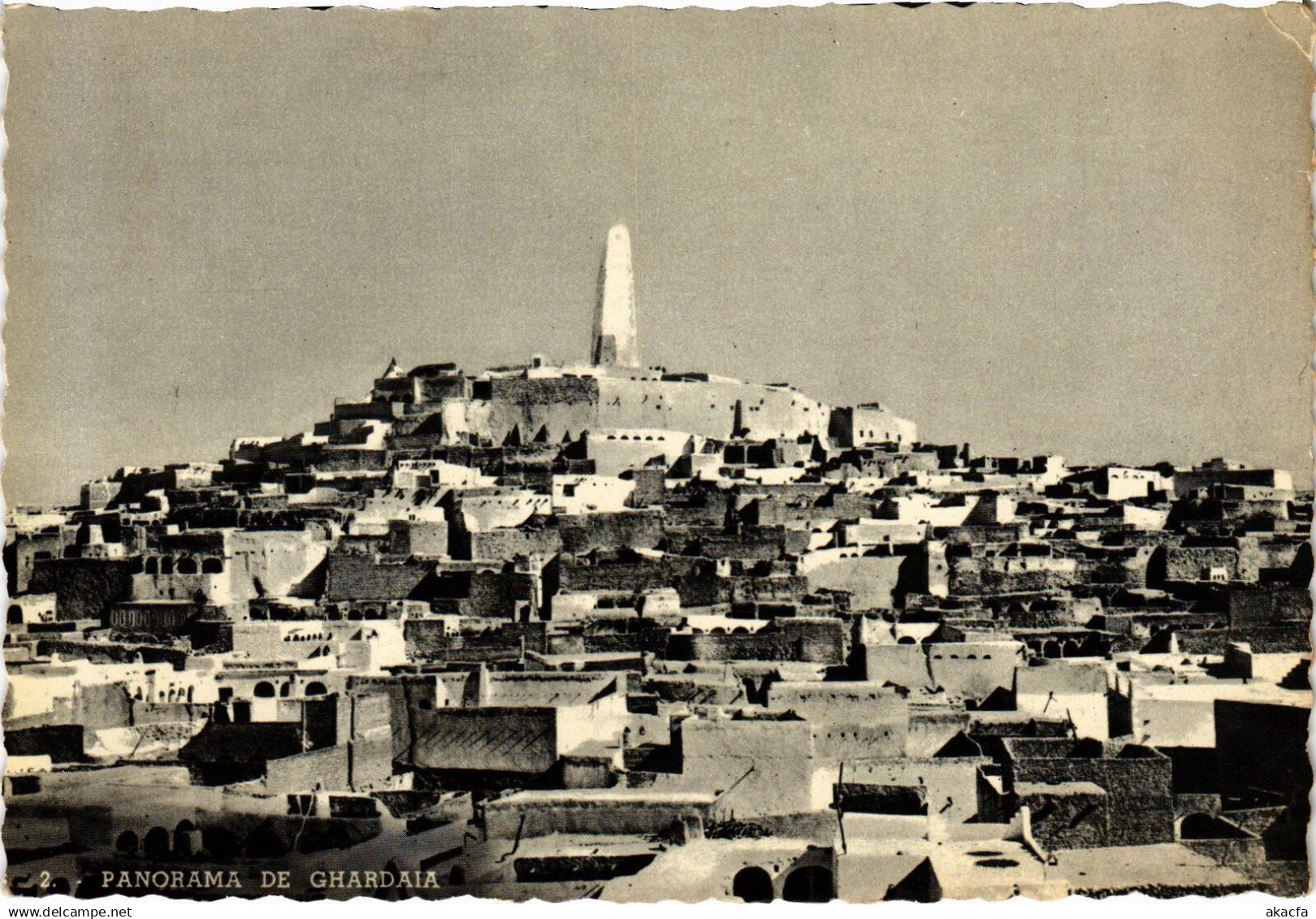 CPA ALGERIA GHARDAIA Panorama (1358733)