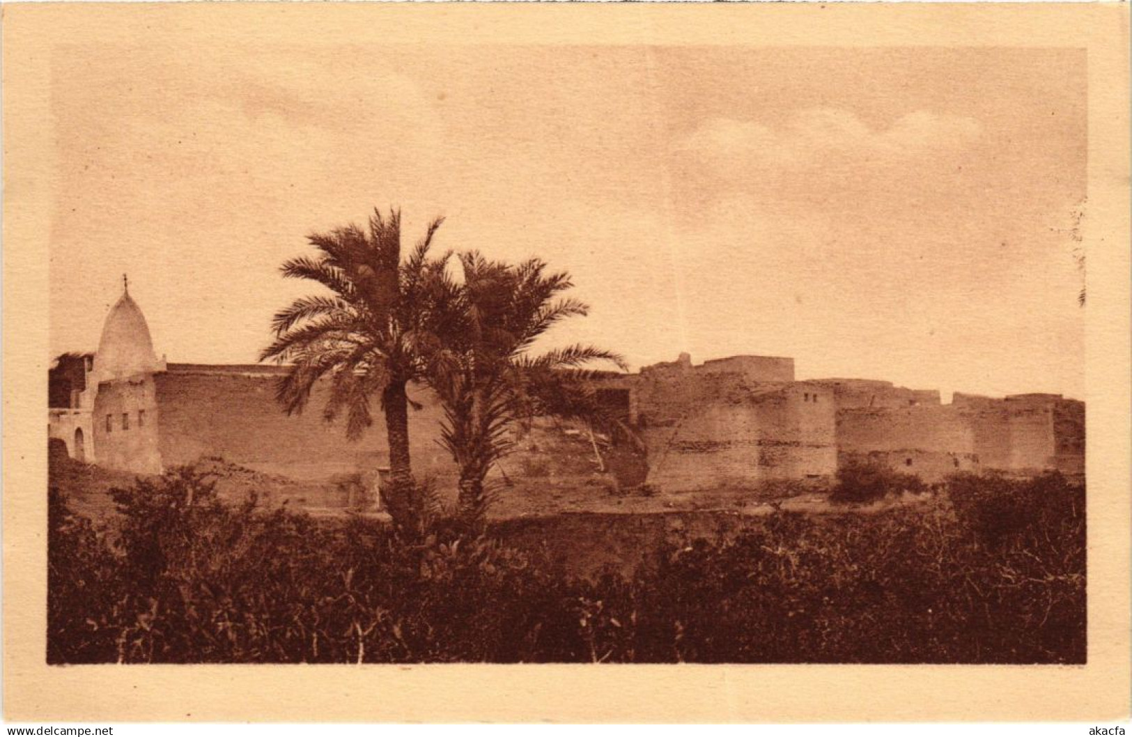 CPA ALGERIA M'SILA Vue du Marabout Hadj Larbi (1291748)