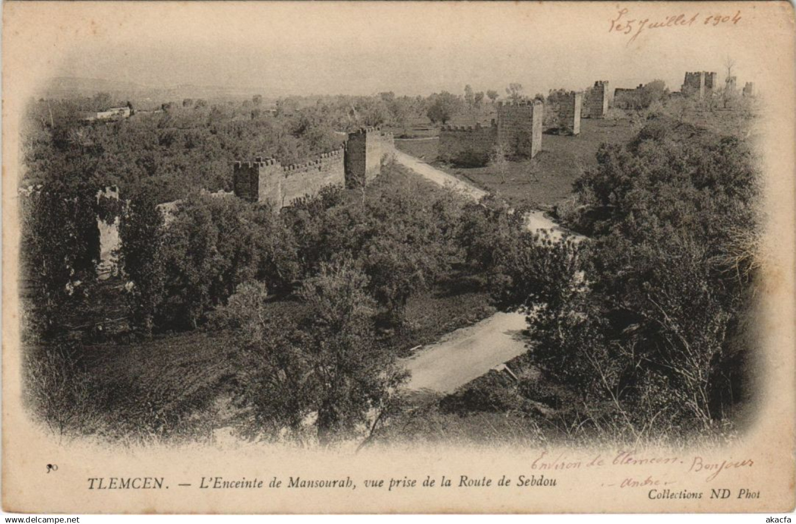 CPA ALGERIA TLEMCEN L'Enceinte de Mansourah (1145354)