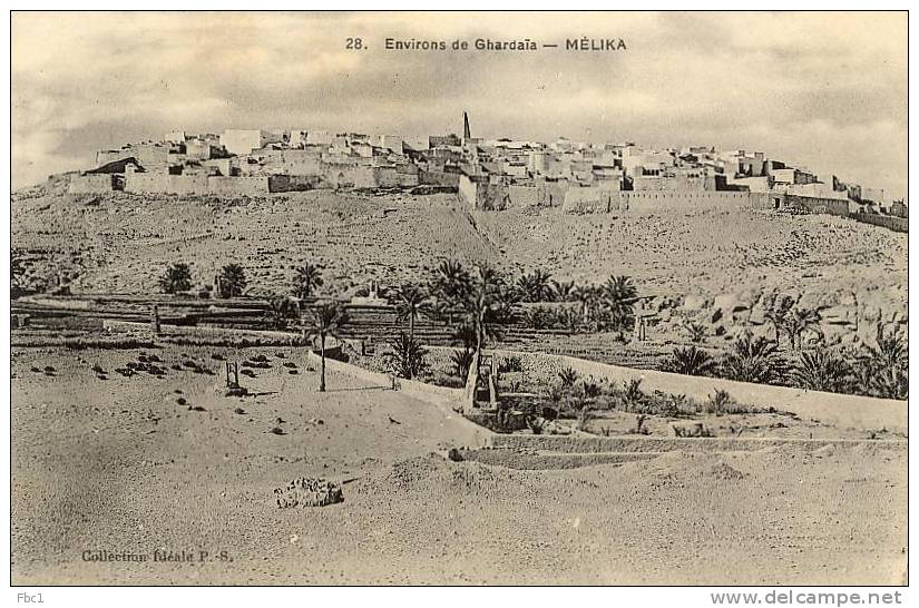 CPA: Algérie - Environs de Ghardaia - Mélika  (PS N°28)