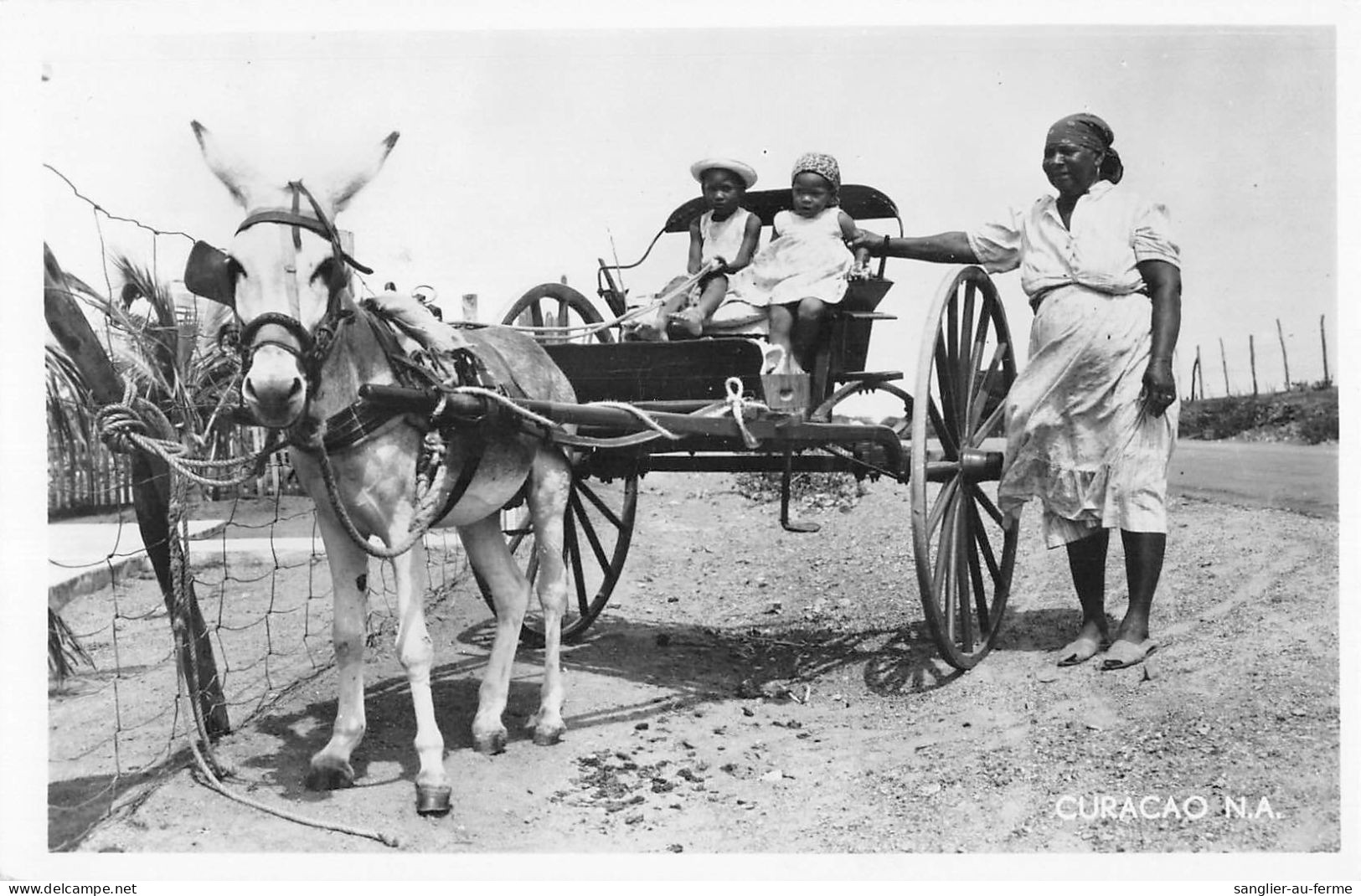 CPA ANTILLES NEERLANDAISES CURACAO NATIVE DONKEY