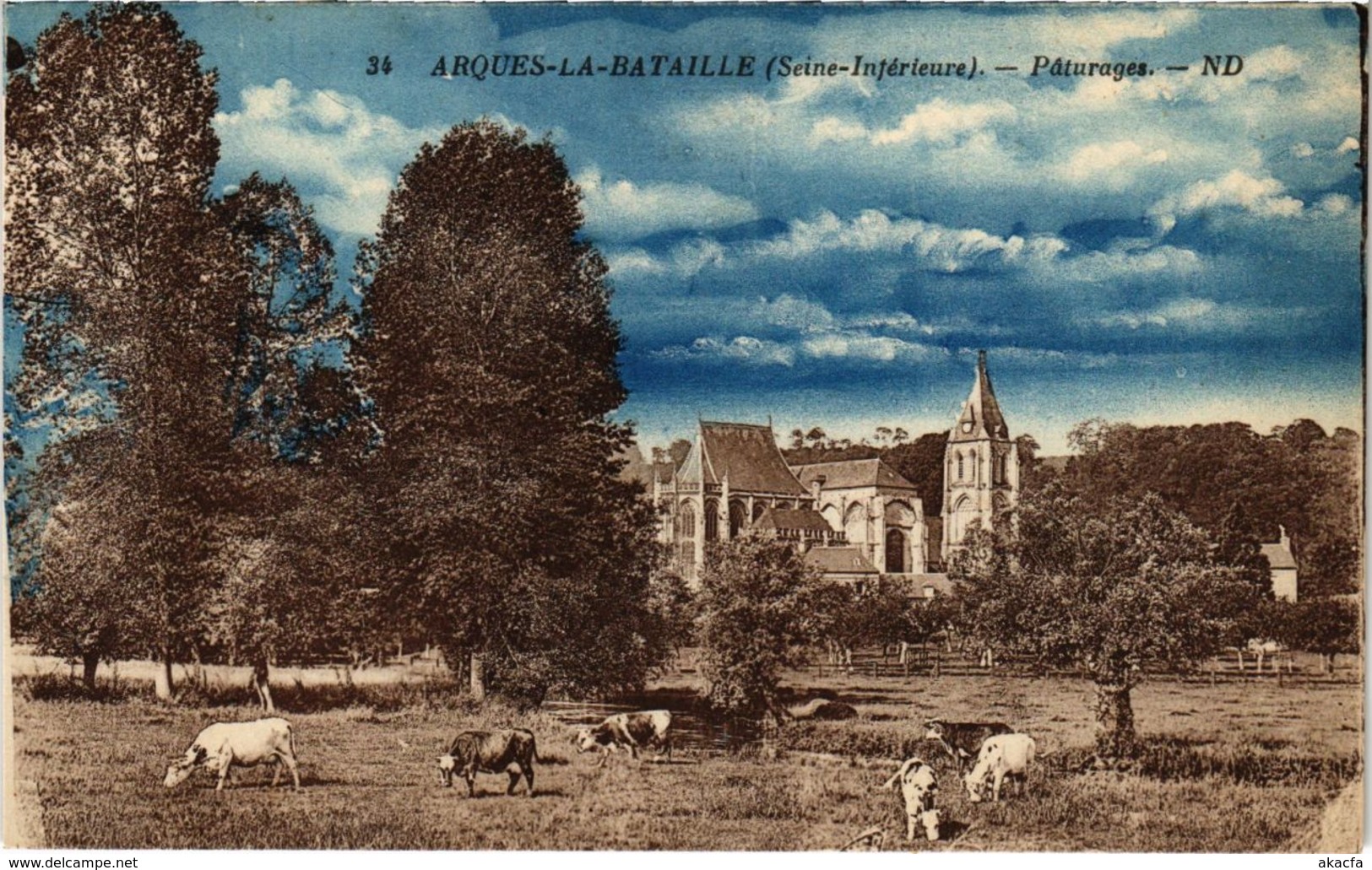 CPA ARQUES-la-BATAILLE - Paturages (105707)