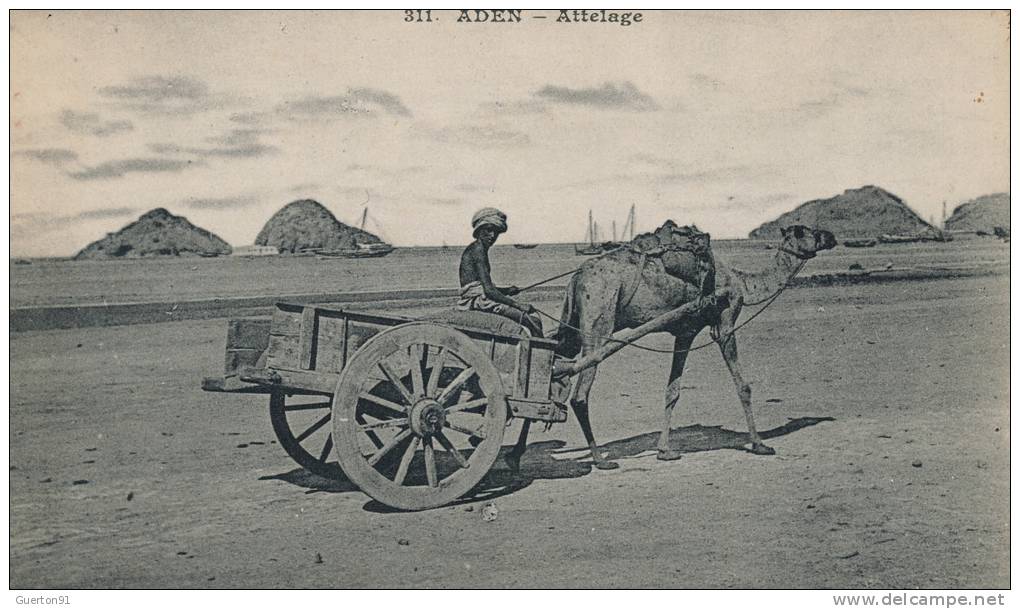 ( CPA ASIE )  YÉMEN  /  ADEN  -  Attelage  -