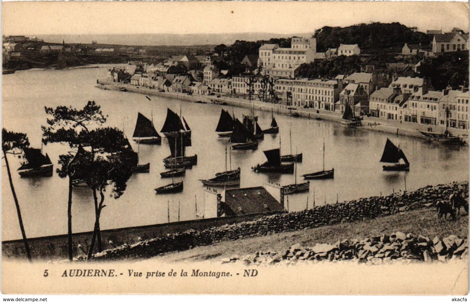 CPA Audierne- Vue prise de la Montagne FRANCE (1025503)