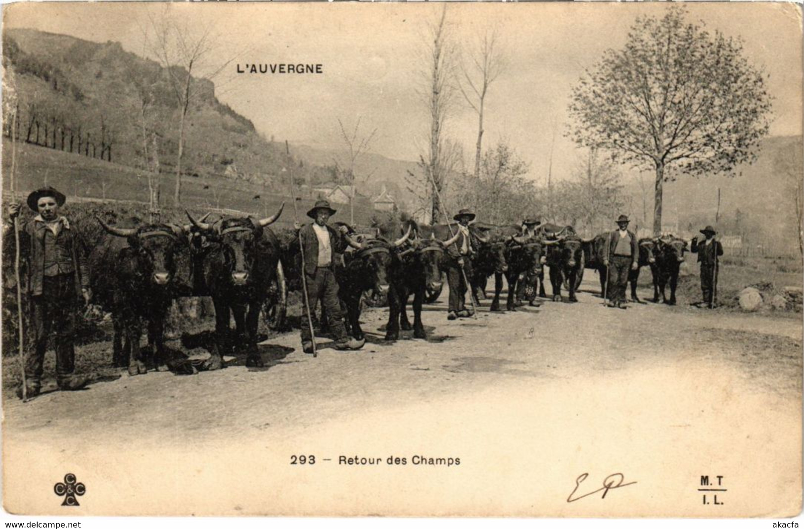 CPA Auvergne - Retour des Champs (72869)