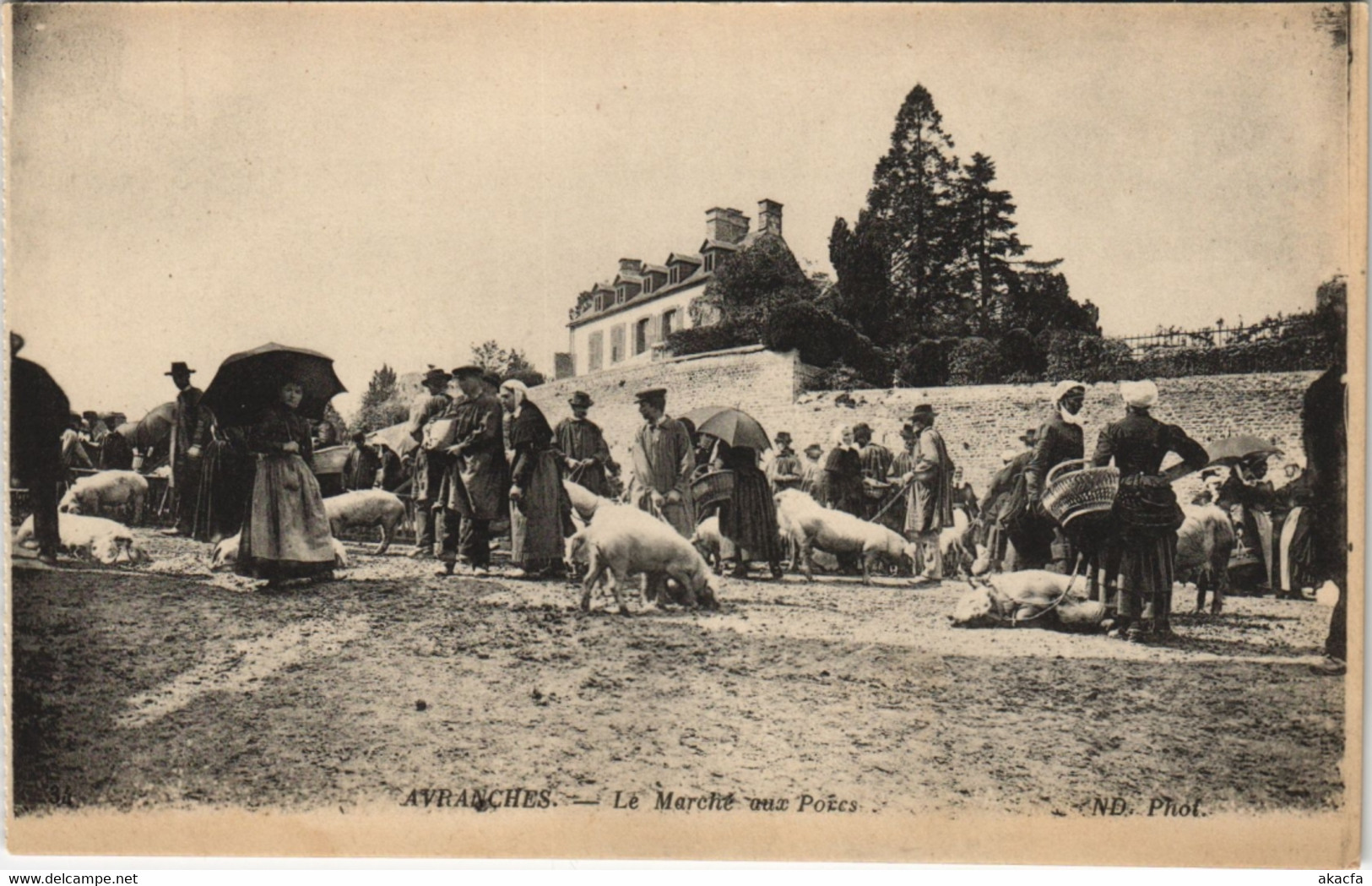 CPA AVRANCHES Le Marché aux Porcs (38565)