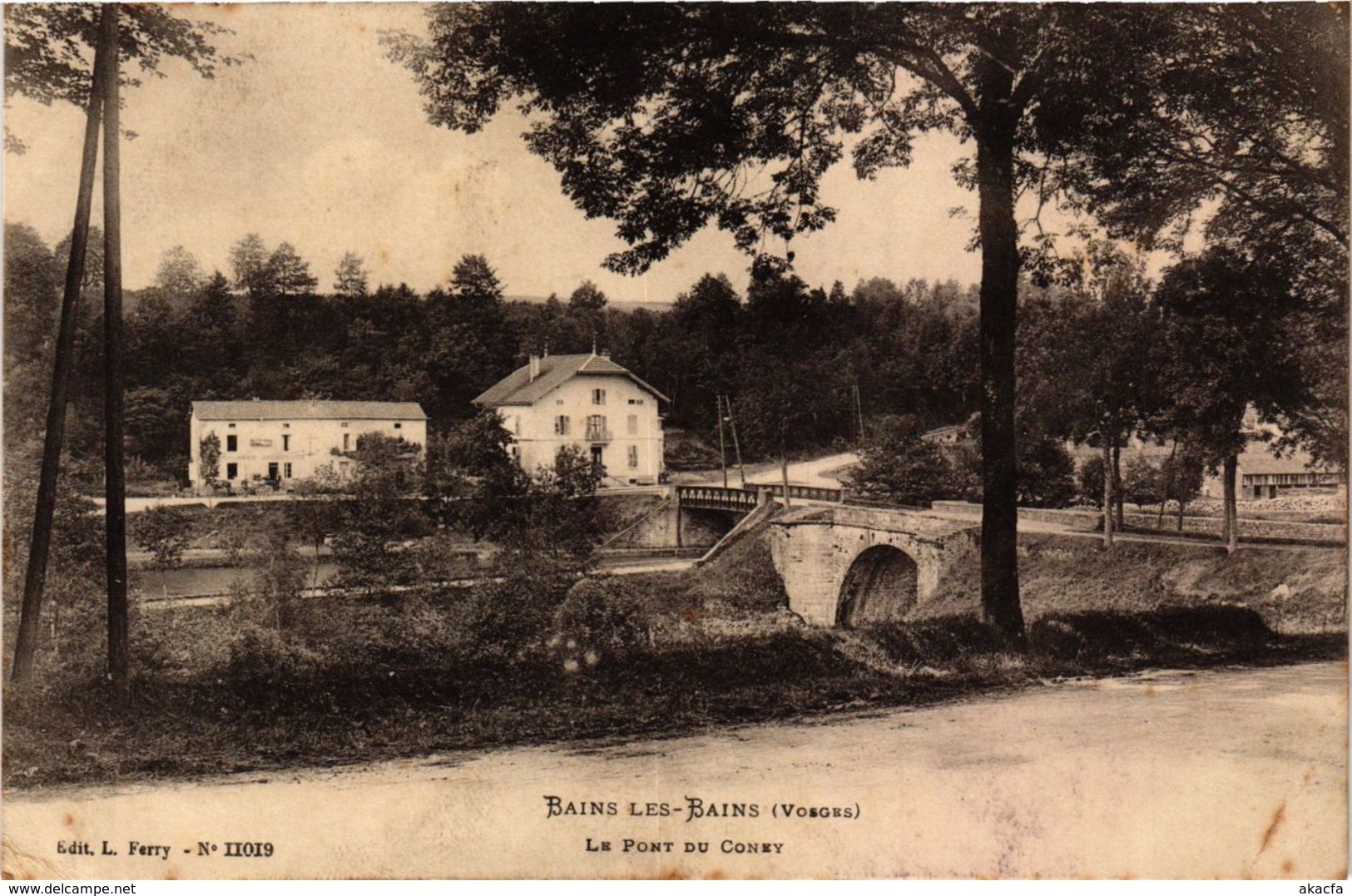 CPA BAINS-les-BAINS - Le Pont du Coney (279207)