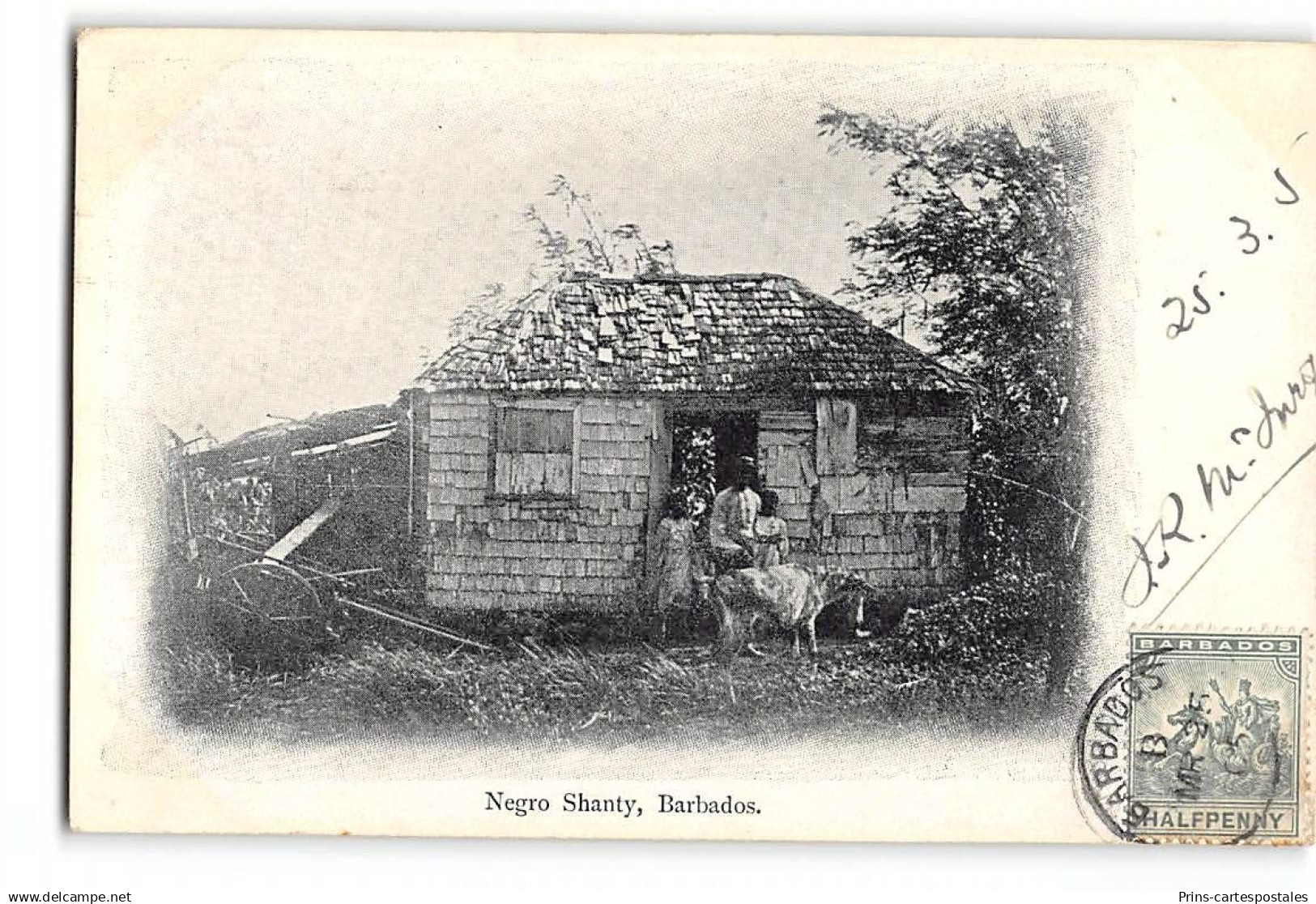 CPA Barbades Negro Shanty