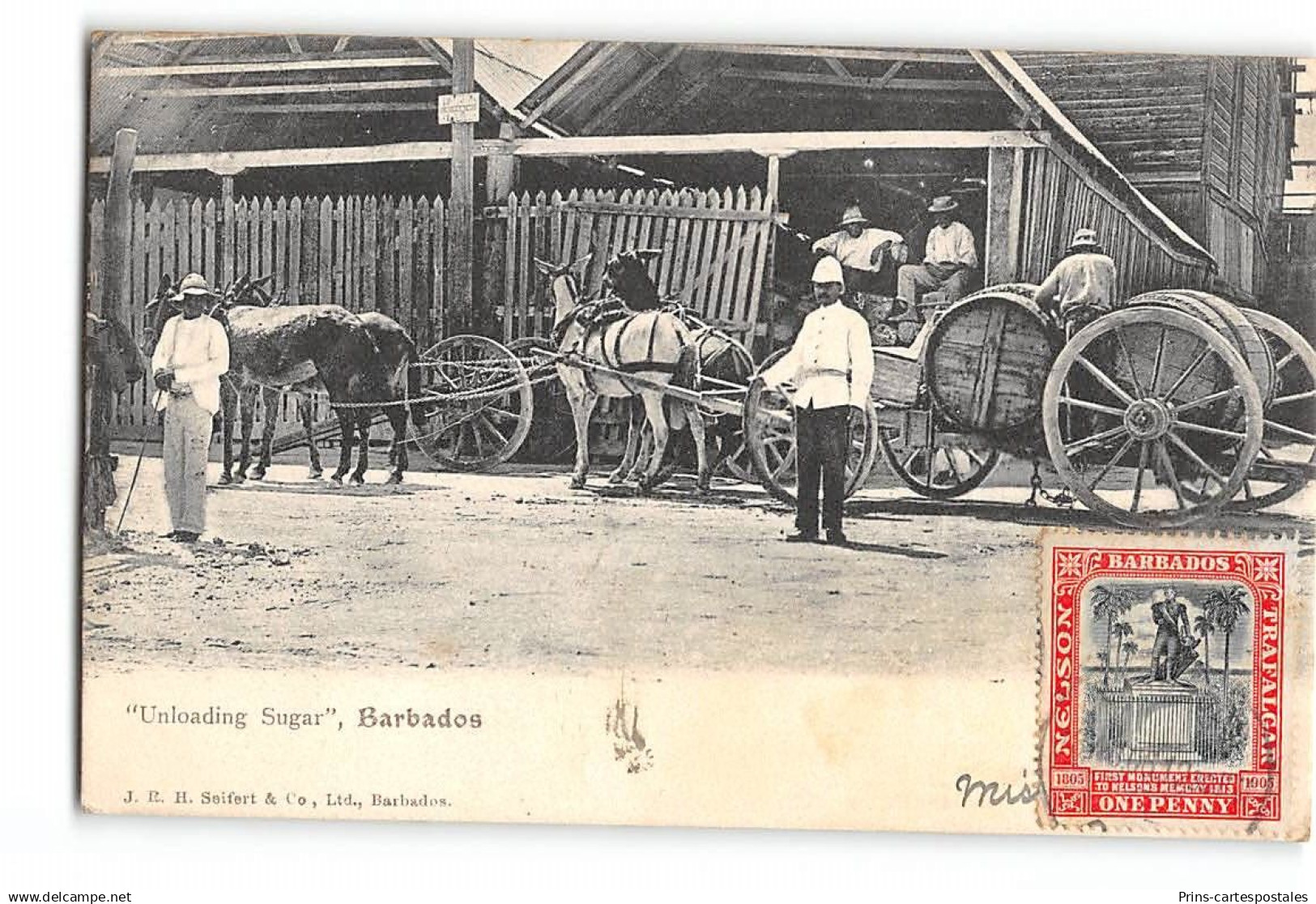 CPA Barbades Unloading Sugar