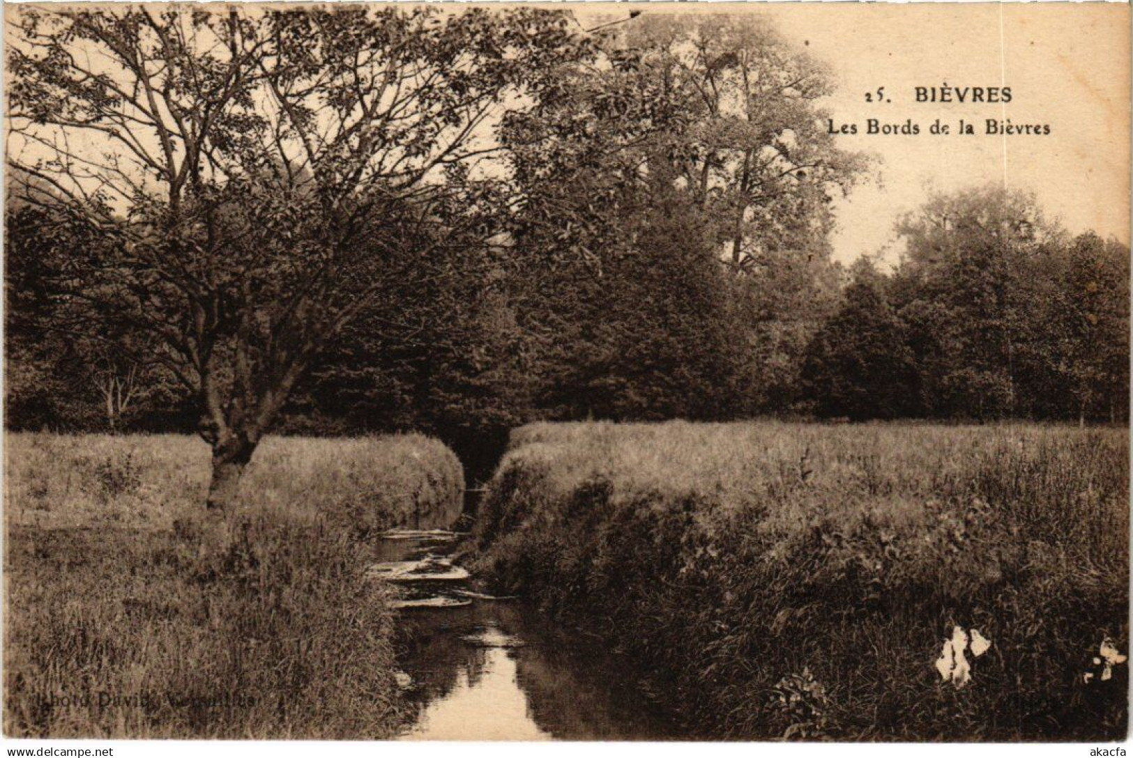 CPA Bievres Les Bords de la Bievres (1360040)