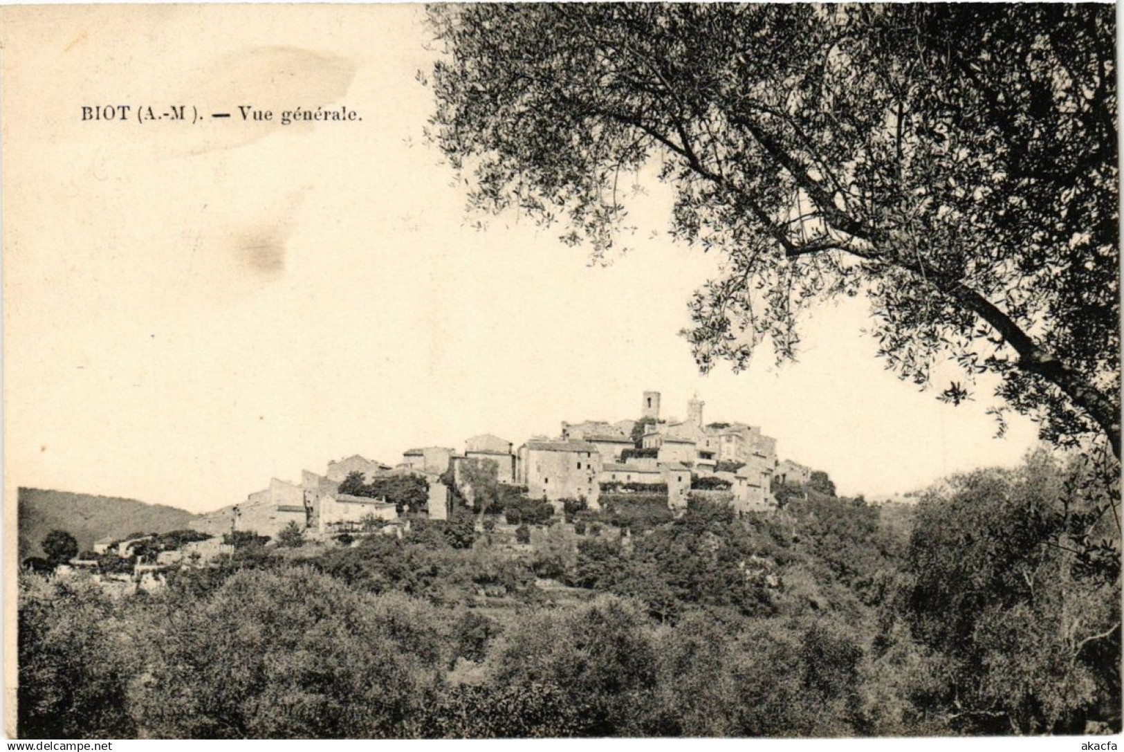 CPA BIOT Vue générale (375281)