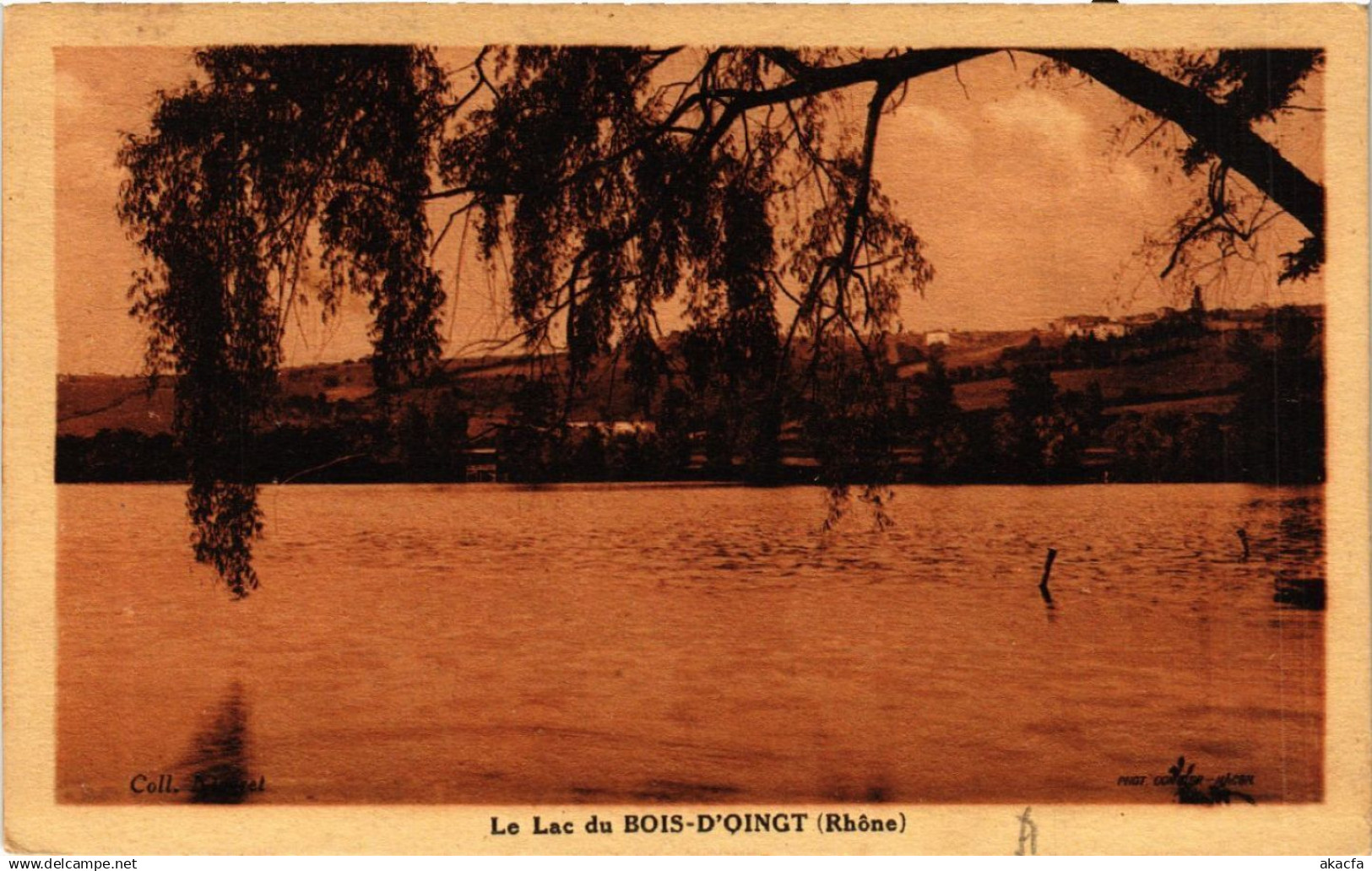 CPA BOIS d'OINGT Le Lac (444152)