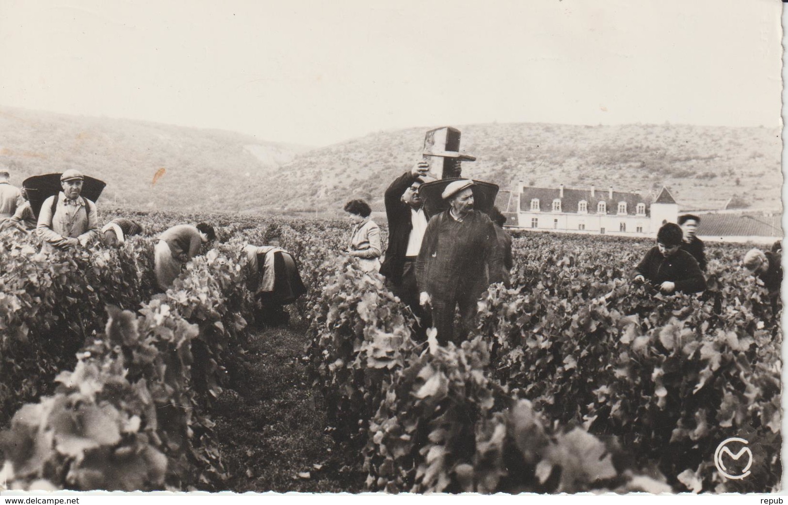 CPA Bourgogne vendanges