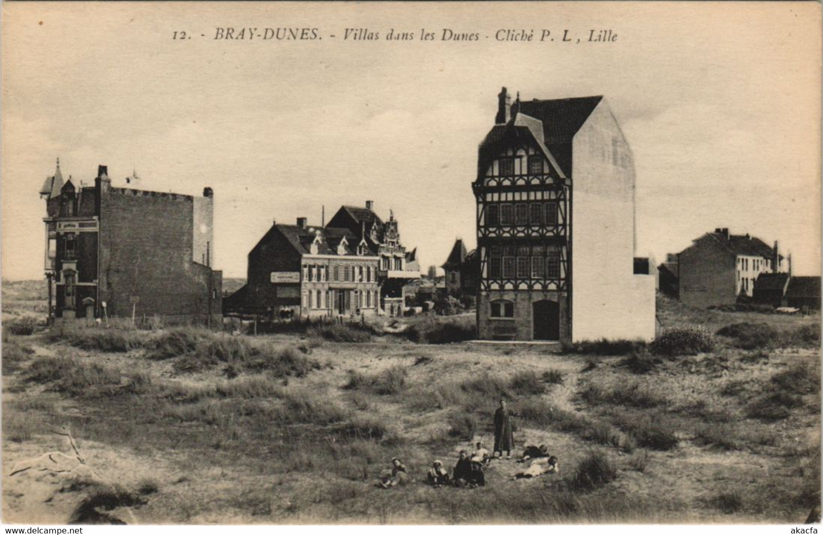 CPA BRAY-DUNES - Villas dans les DUNES (127005)