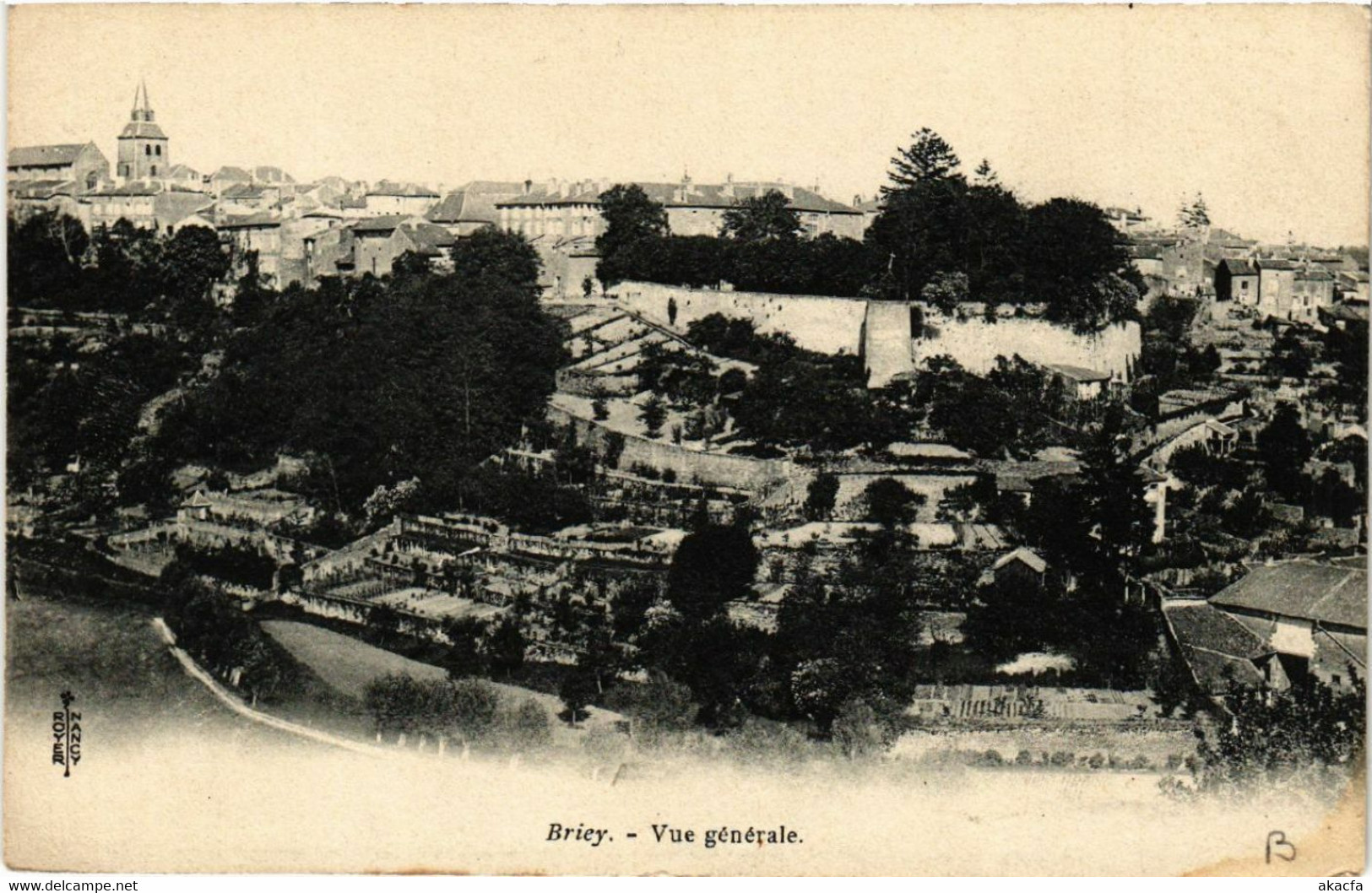 CPA BRIEY - Vue Generale (483535)