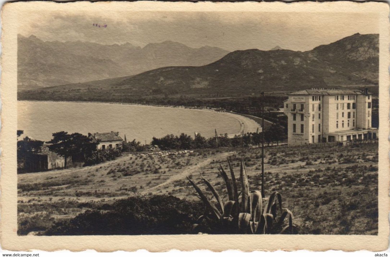 CPA Calvi CORSICA (1078435)