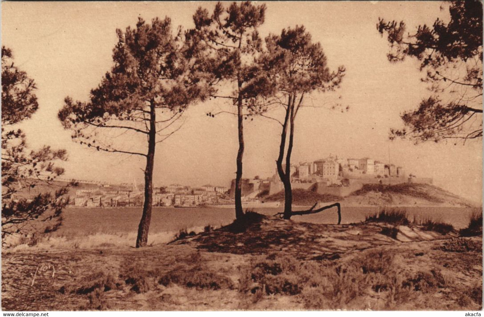 CPA Calvi La Ville ,vue de Calvi Plage CORSICA (1078426)