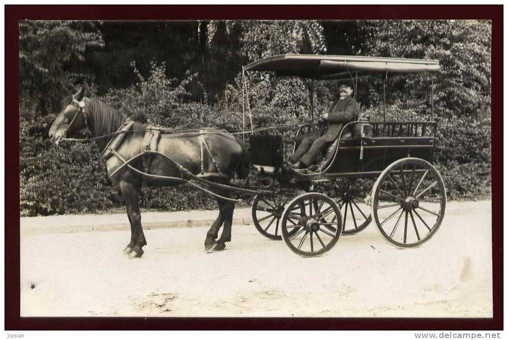 Cpa Carte photo 72 région Moncé en Saosnois Bonnétable ???  voiture    BO 3   .