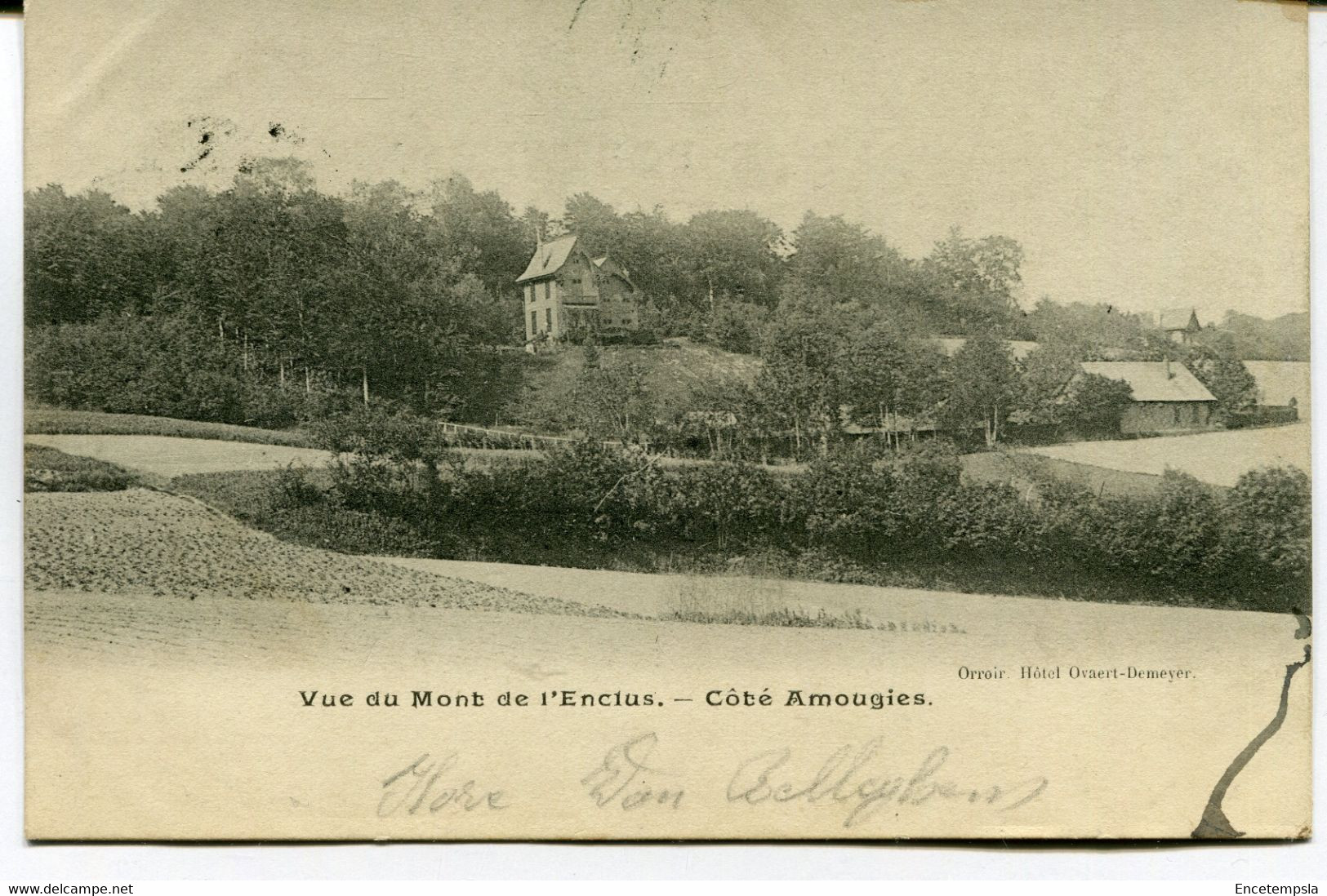 CPA - Carte postale - Belgique - Amougies - Vue du Mont de l'Enclus - 1904 (AT16518)