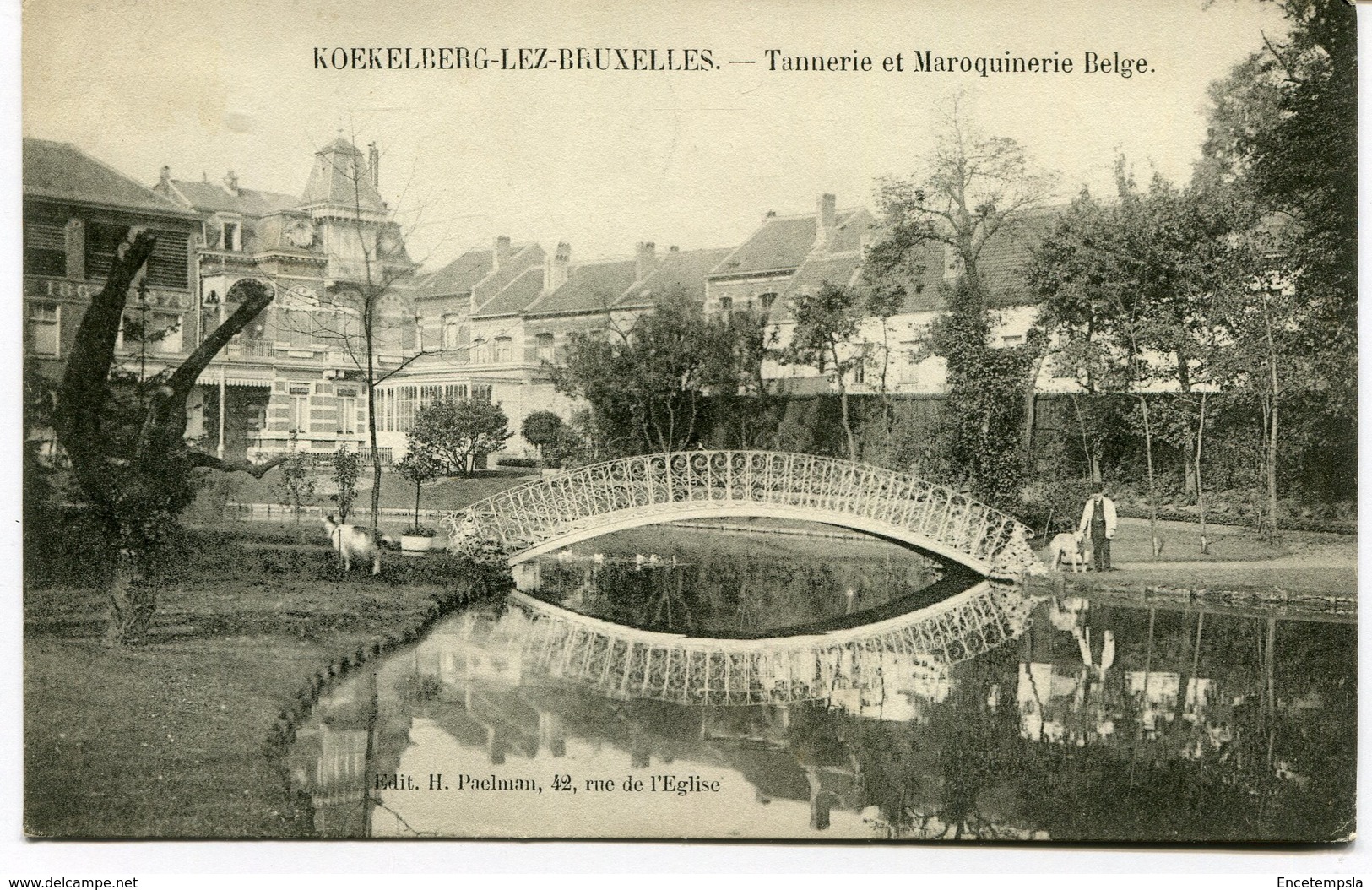 CPA - Carte Postale - Belgique - Koekelberg - Tannerie et Maroquinerie Belge - 1923 (M8190)