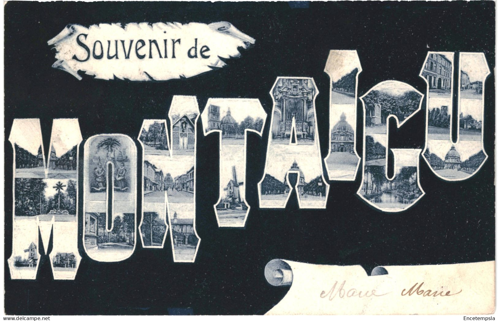 CPA  Carte postale Belgique Montaigu Souvenir de Montaigu Multi vues  VM66096