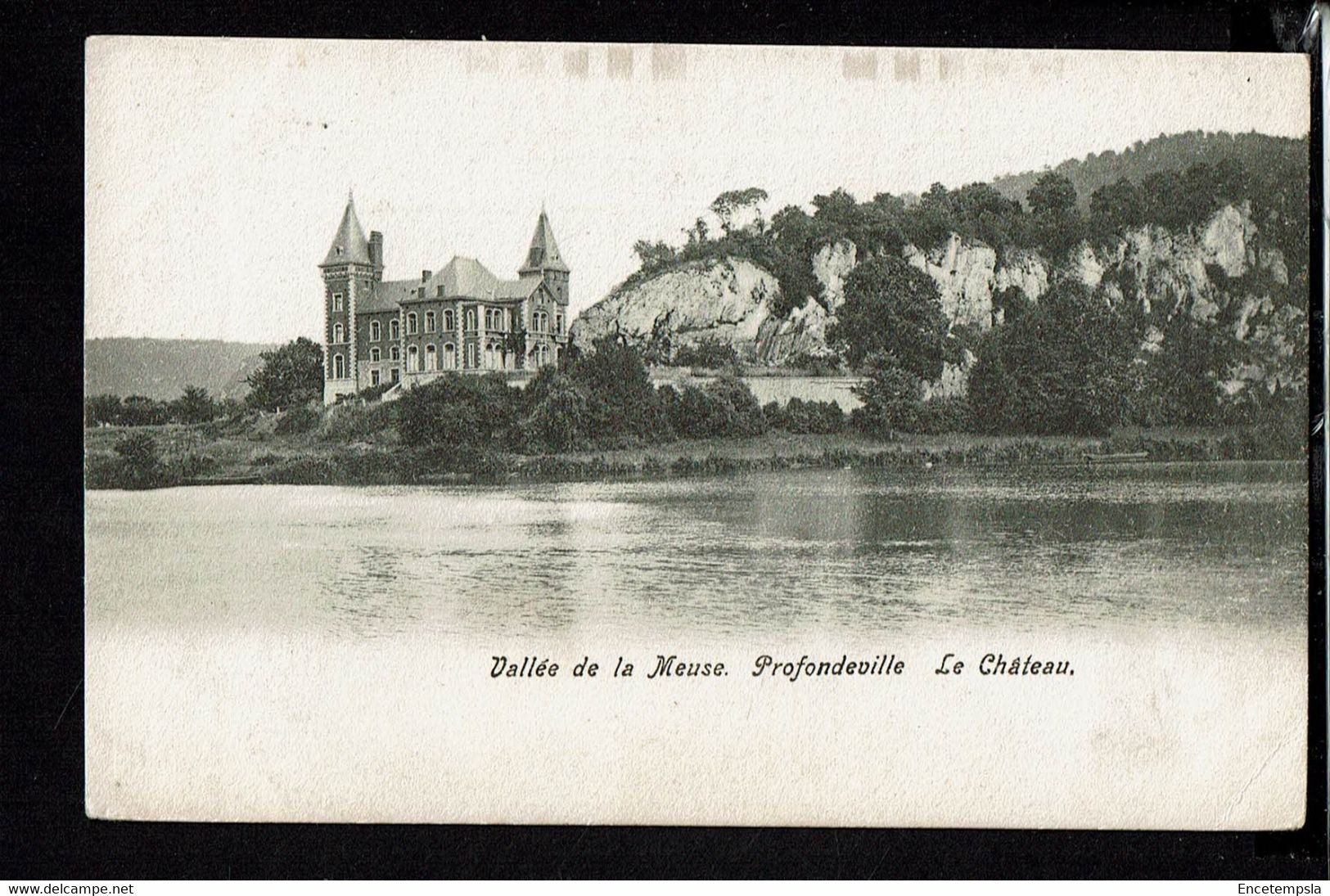 CPA-Carte Postale  Belgique Profondeville Le Château  début 1900VM53967-1