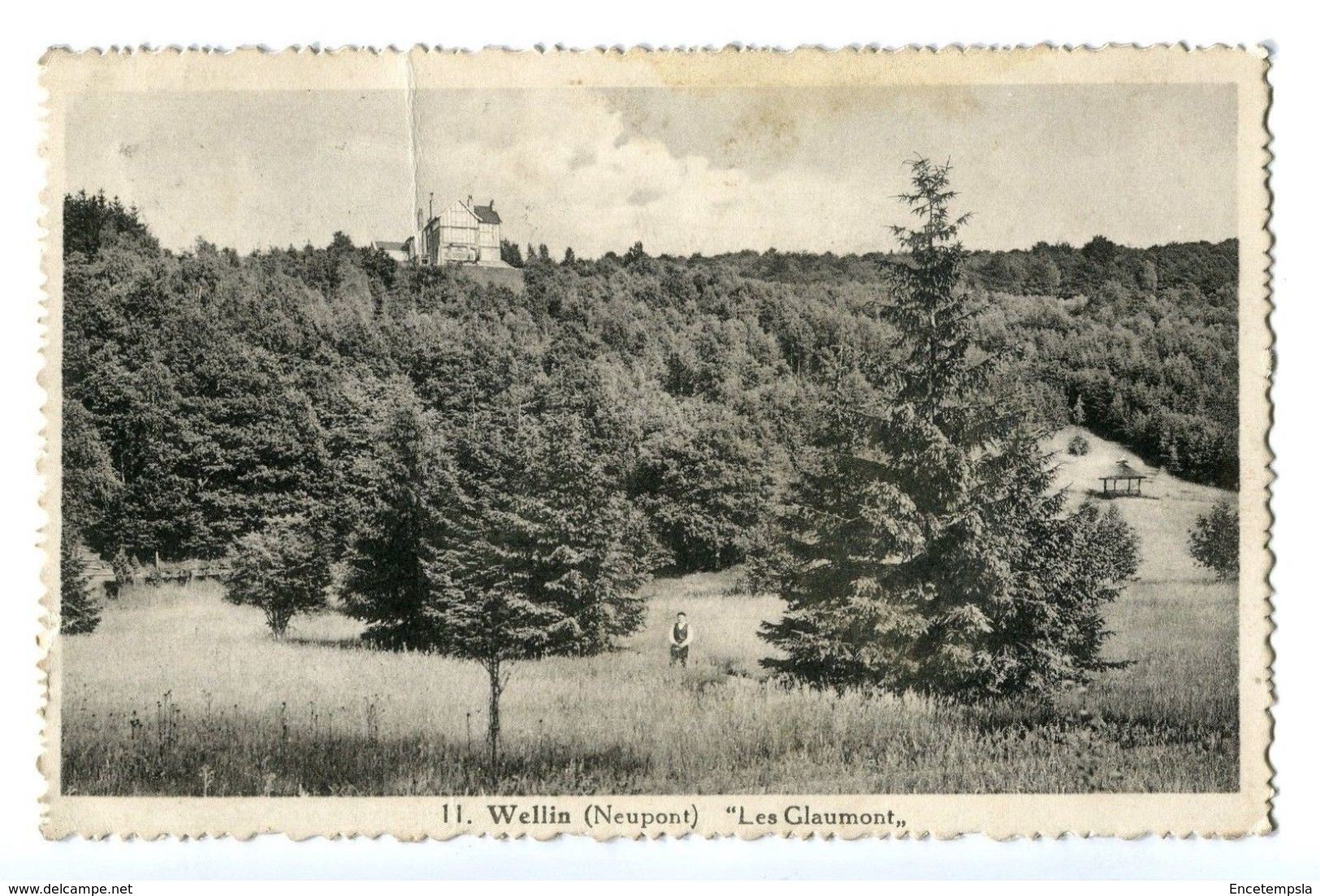 CPA - Carte postale-  Belgique - Wellin - "Les Glaumont" - 1934 (CP59)