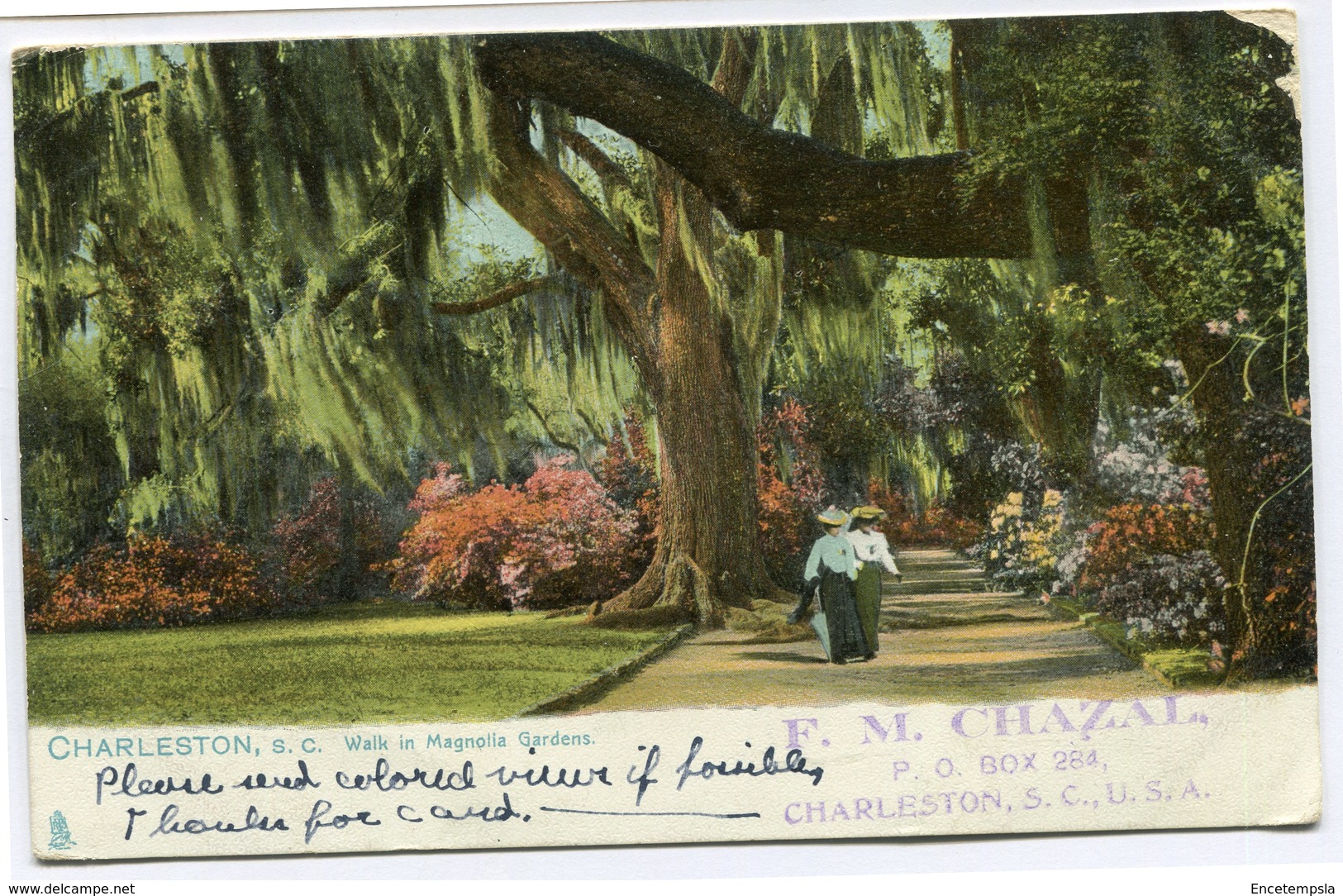 CPA - Carte postale - Etats-Unis - Charleston - Walk in Magnolia Gardens - 1907  (CP2346)