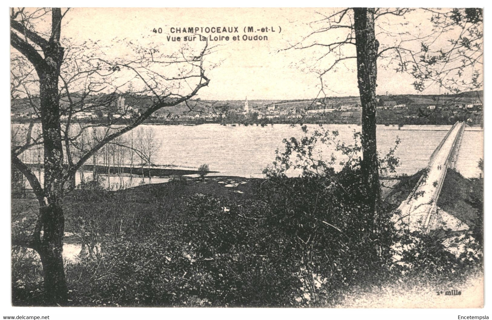 CPA - Carte Postale  France Champtoceaux- Vue sur la Loire et Oudon   VM34173i