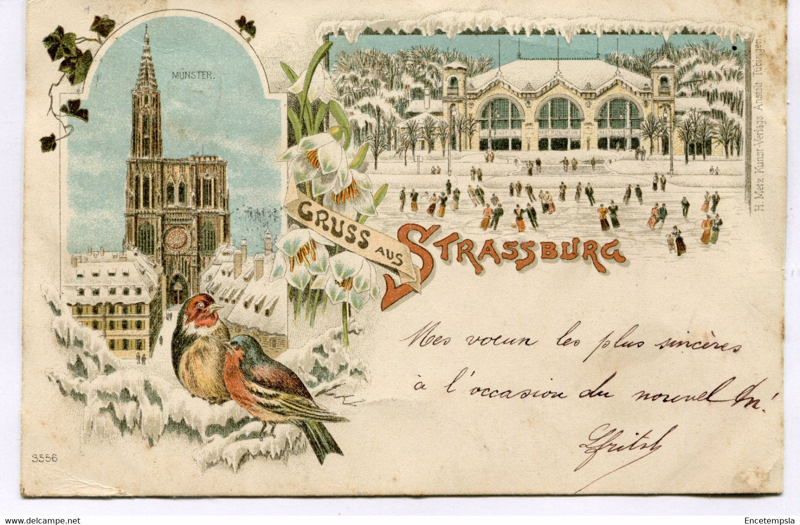 CPA - Carte Postale - France - Gruss aus Strasburg - 1898 (SVM14040)