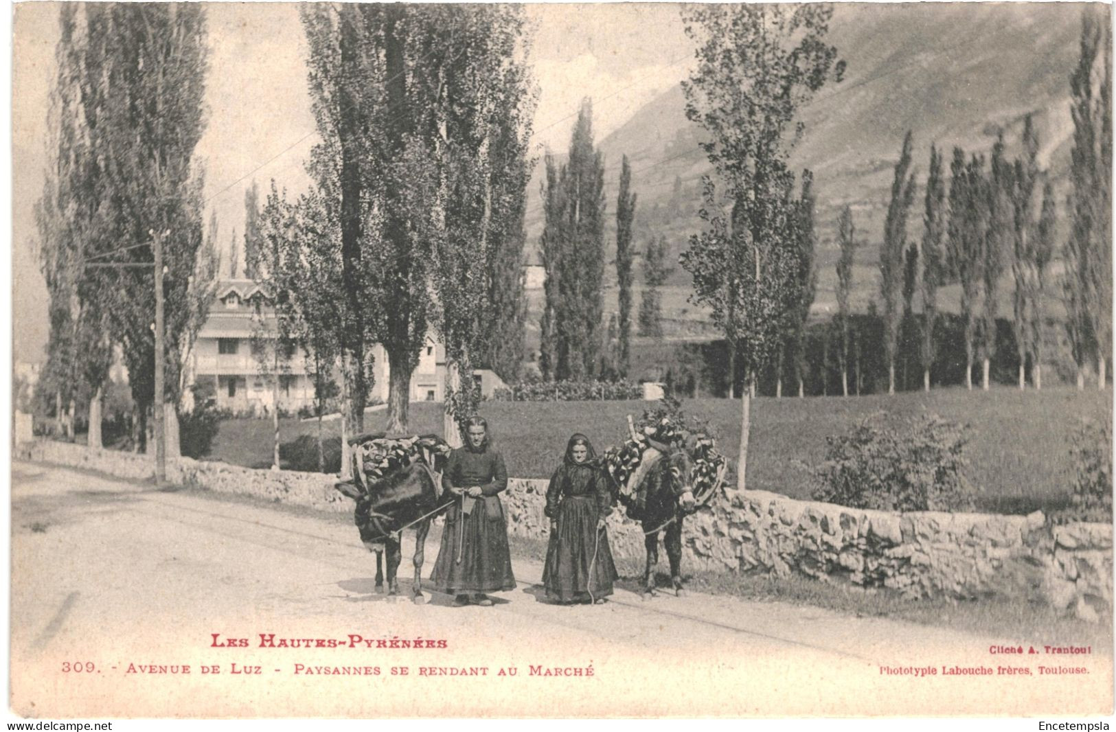 CPA  Carte Postale  France   Luz Saint Sauveur Avenue de Luz Paysannes se rendant au Marché    VM68762