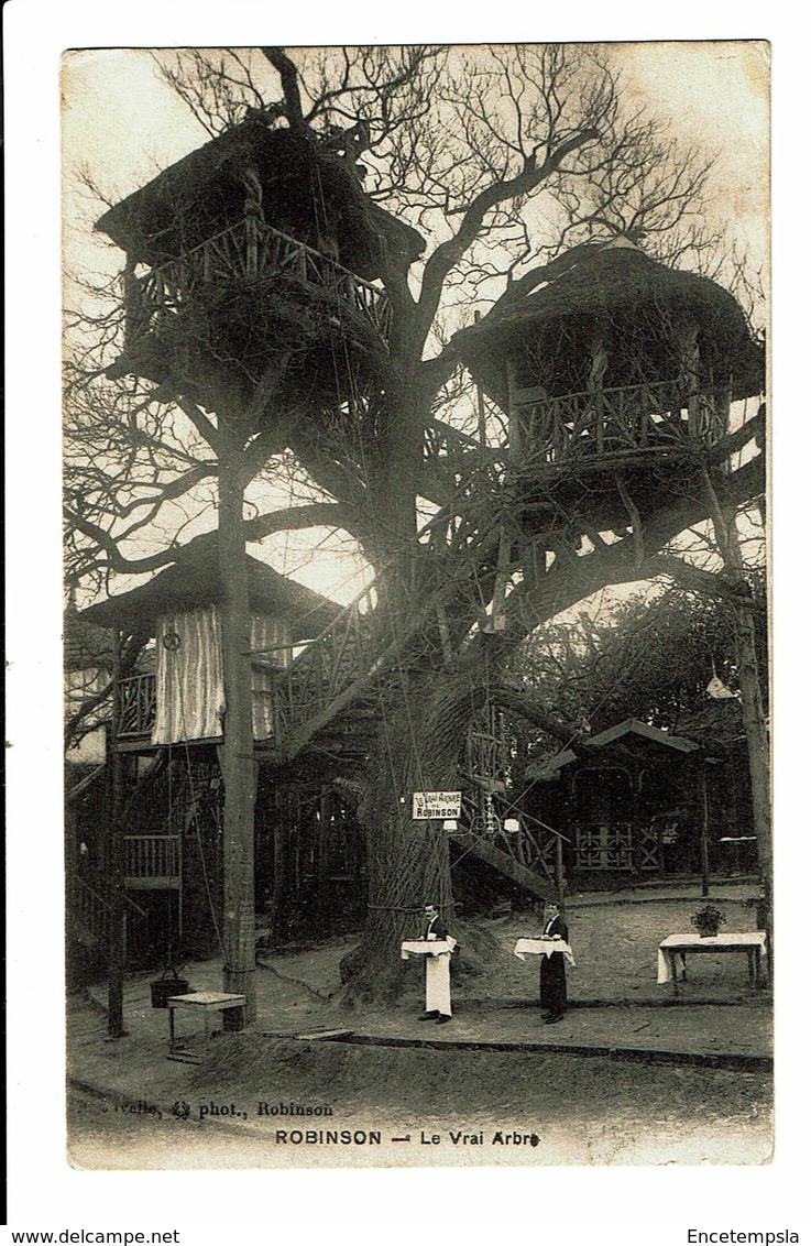 CPA - Carte Postale -FRANCE -Plessis-Robinson Robinson le vrai arbre--1915 VM3794