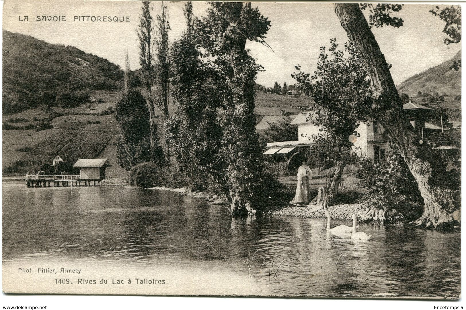 CPA - Carte postale - France - Talloires - Rive du Lac à Talloires  (CPV1111)