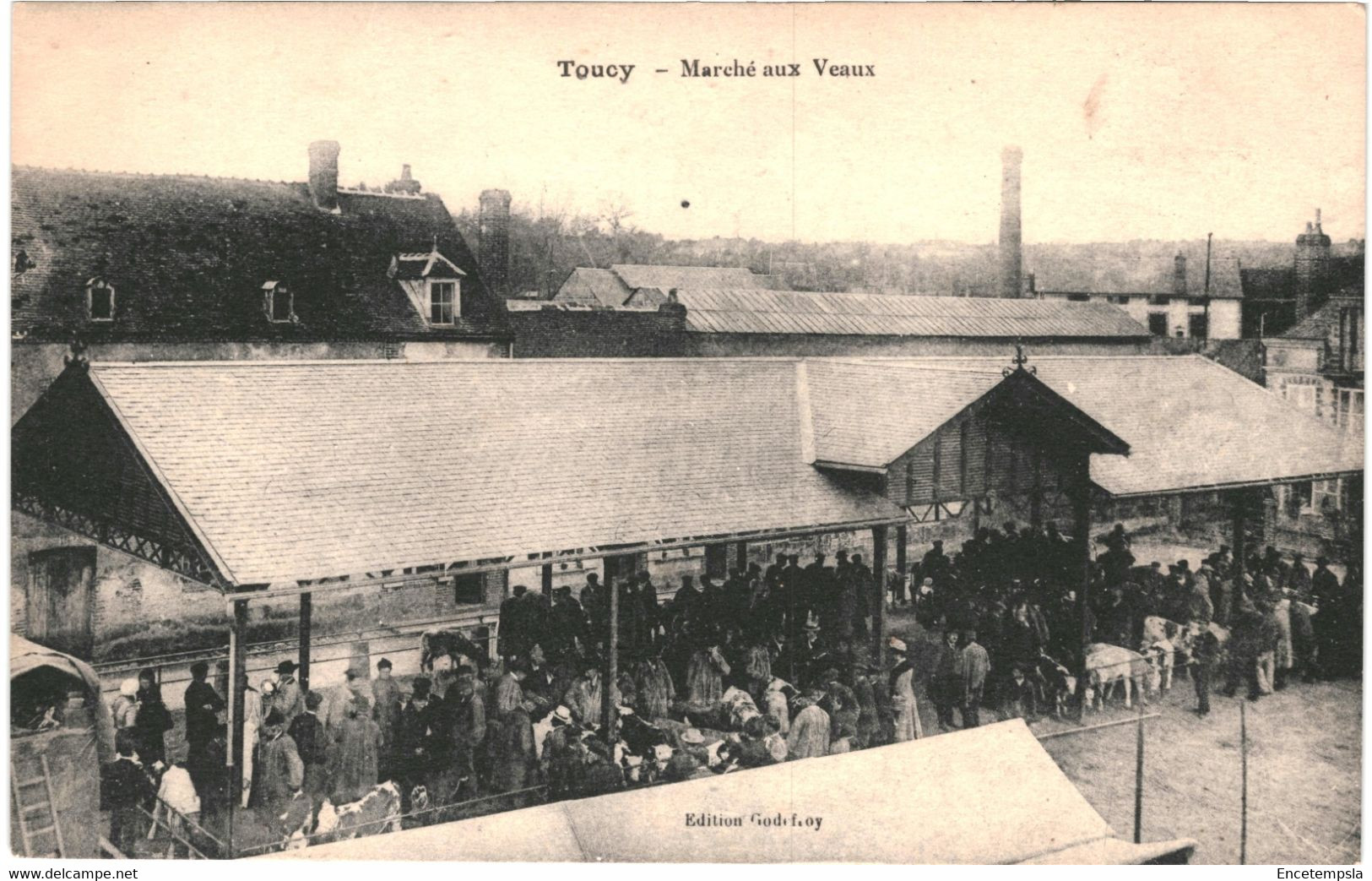 CPA-Carte Postale France-Toucy-marché aux veaux    VM44106+