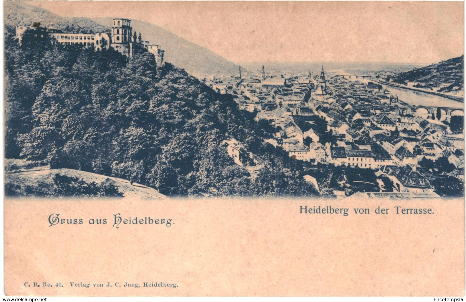 CPA  Carte postale   Germany Heidelberg Gruss aus Heidelberg  Heidelberg vom der Terrasse  VM66834