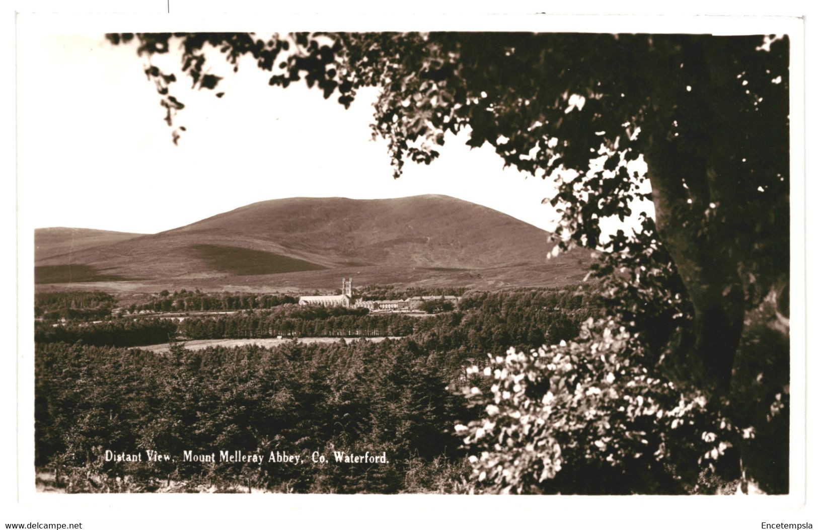 CPA  Carte Postale-Irlande- Waterford- Mount Melleray Abbey   -VM41924