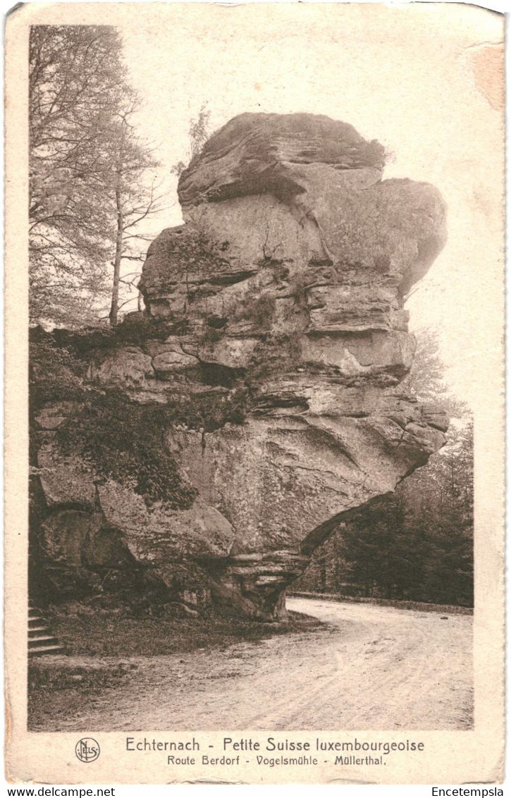 CPA - Carte postale Luxembourg - Echternach  Route Berdorf Vogelsmühle VM47996