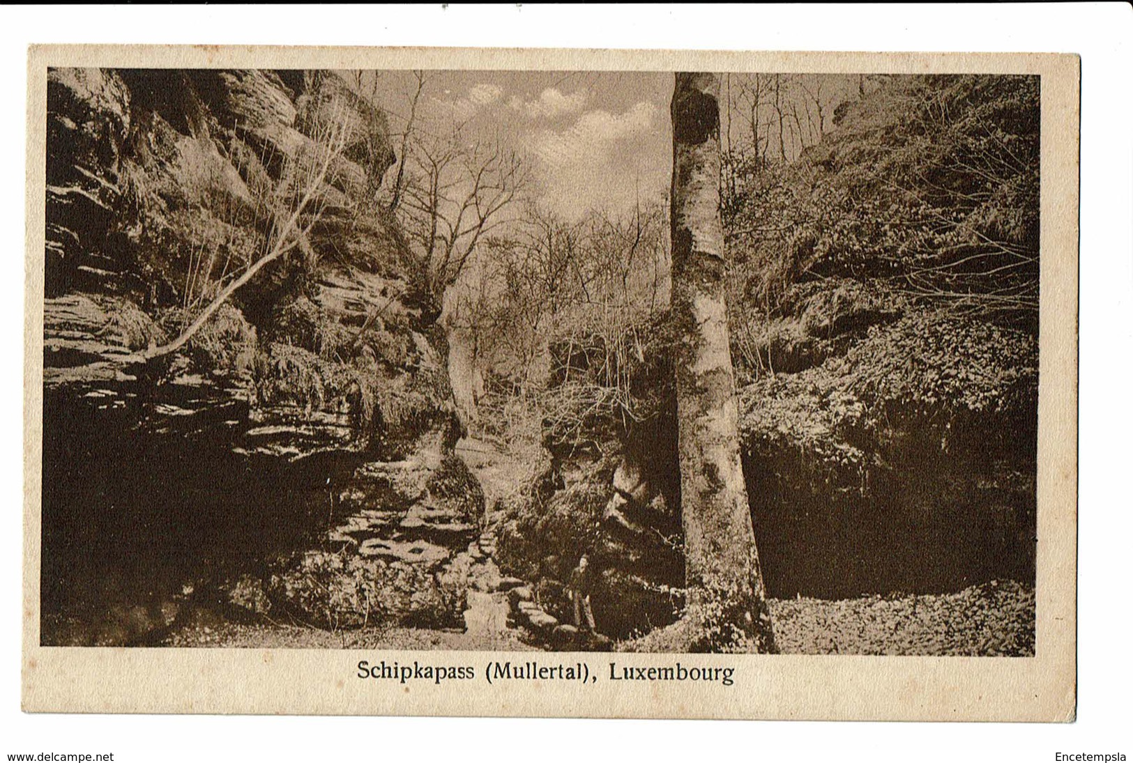 CPA - Carte Postale -Luxembourg -Muellerthal -Schipkapass- S3345