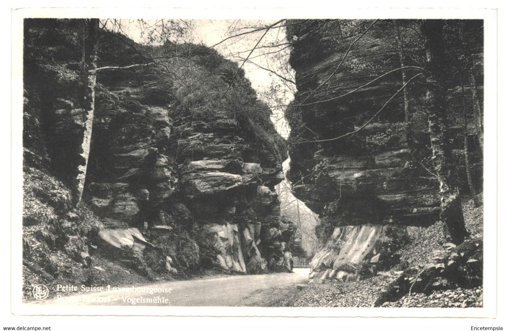 CPA - Carte Postale -Luxembourg- - Petite suisse Route Berdorf  Vogelsmuhle    VM35610