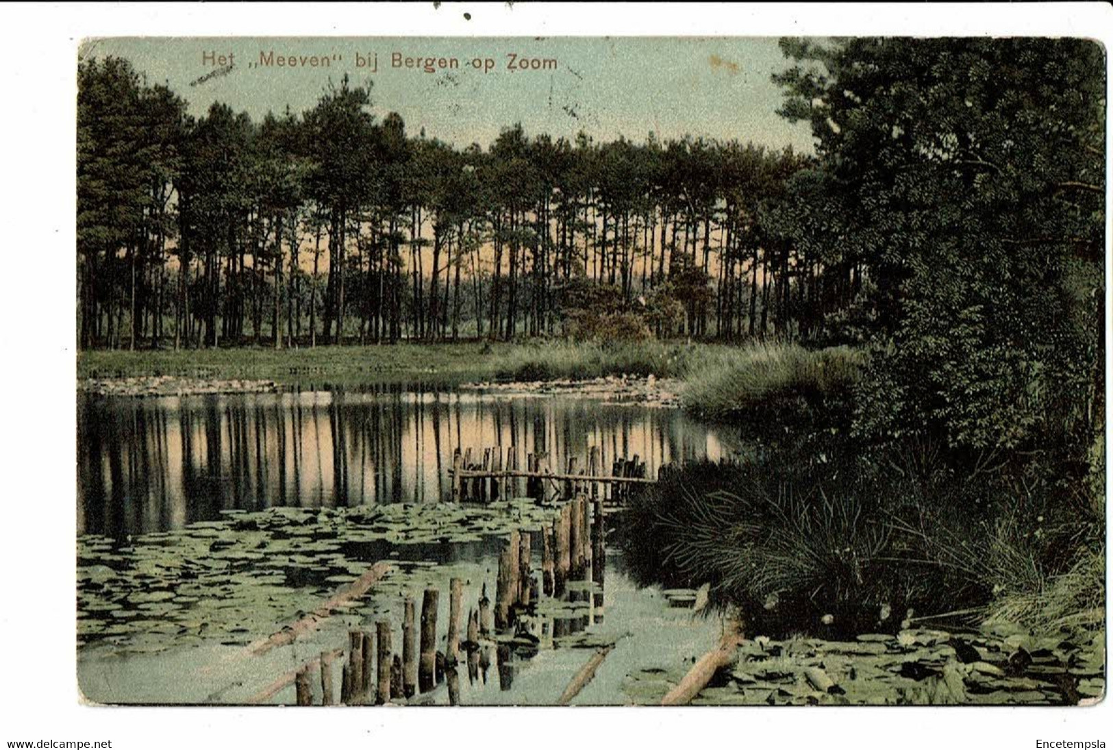 CPA Carte Postale-Pays Bas-Bergen op Zoom-Het Meeven--VM24114br