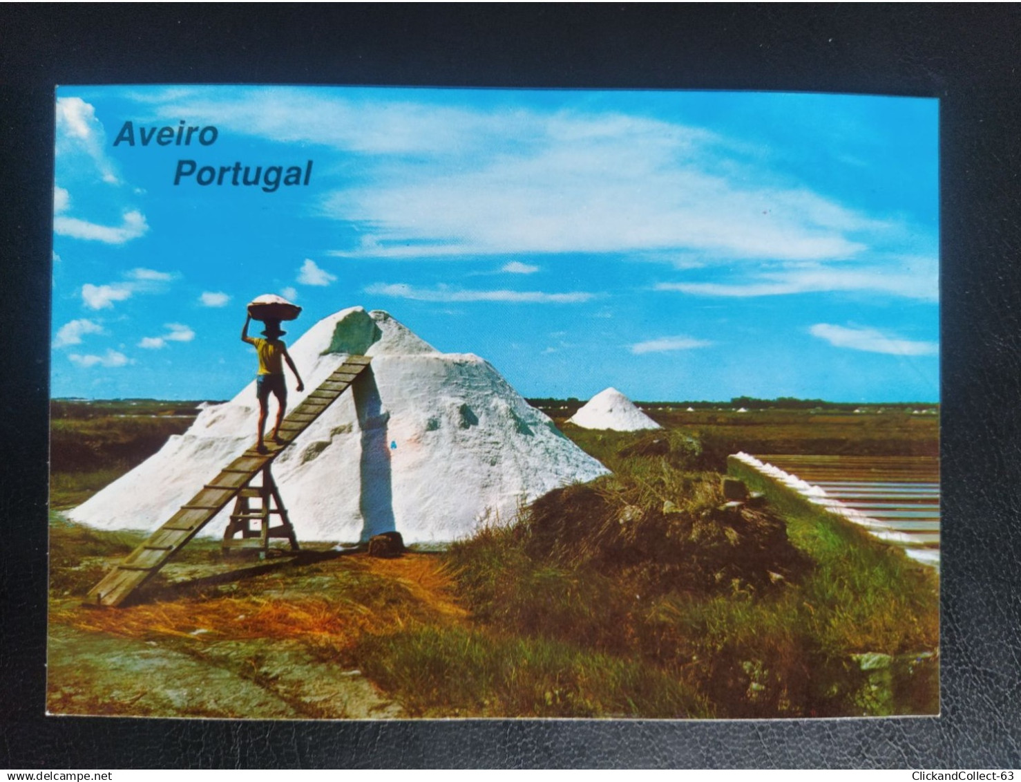 CPA carte postale Portugal Aveiro montagnes de sel