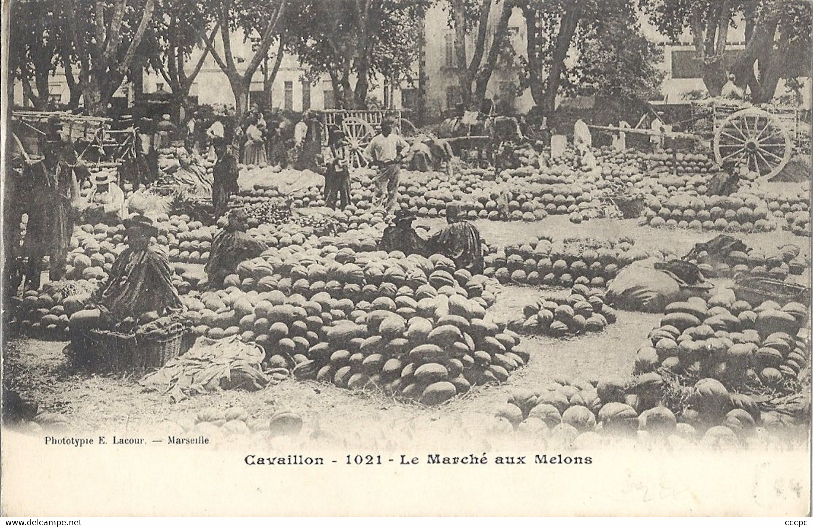 CPA Cavaillon Le Marché aux Melons