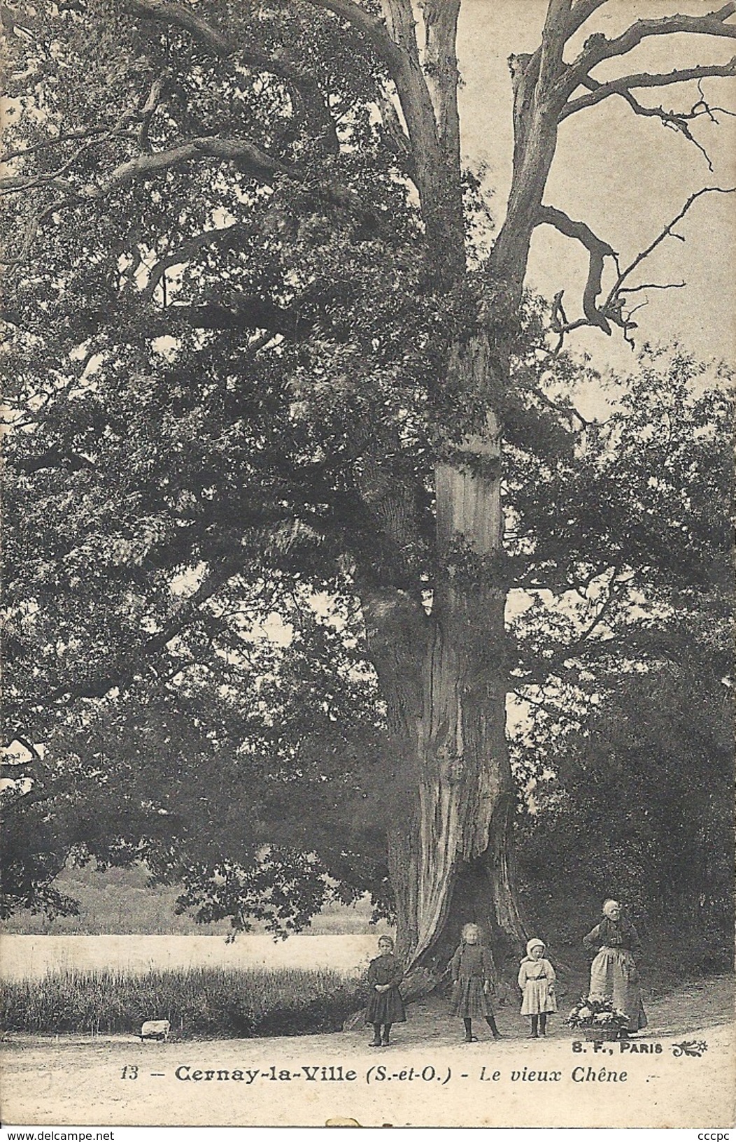 CPA Cernay-la-ville Le vieux Chêne